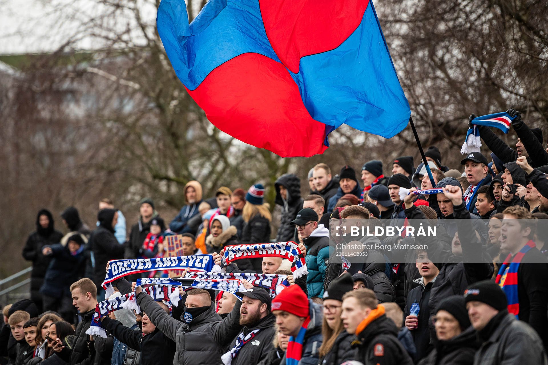 Helsingborgs supportrar