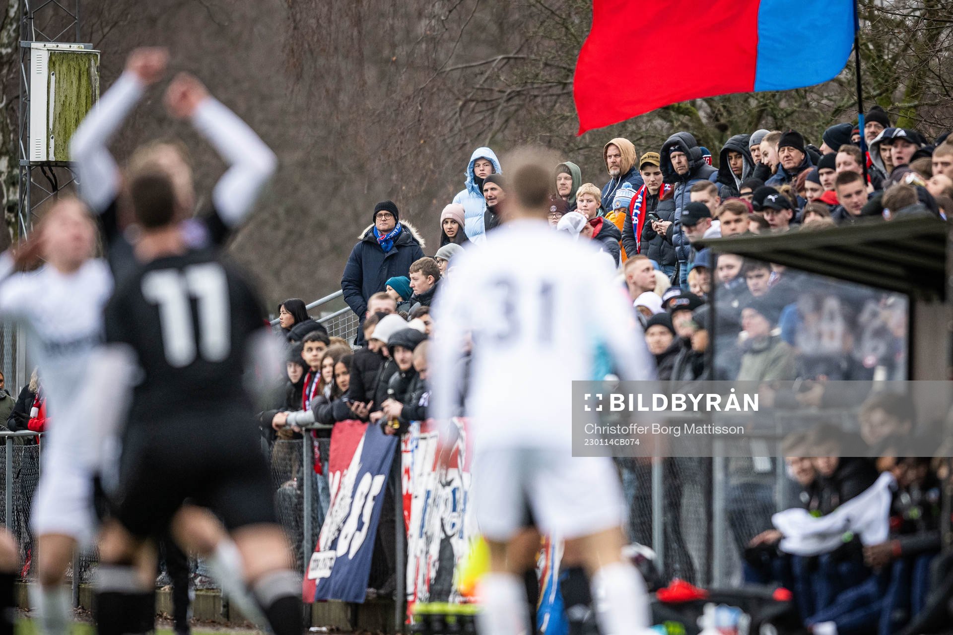 Helsingborgs supportrar