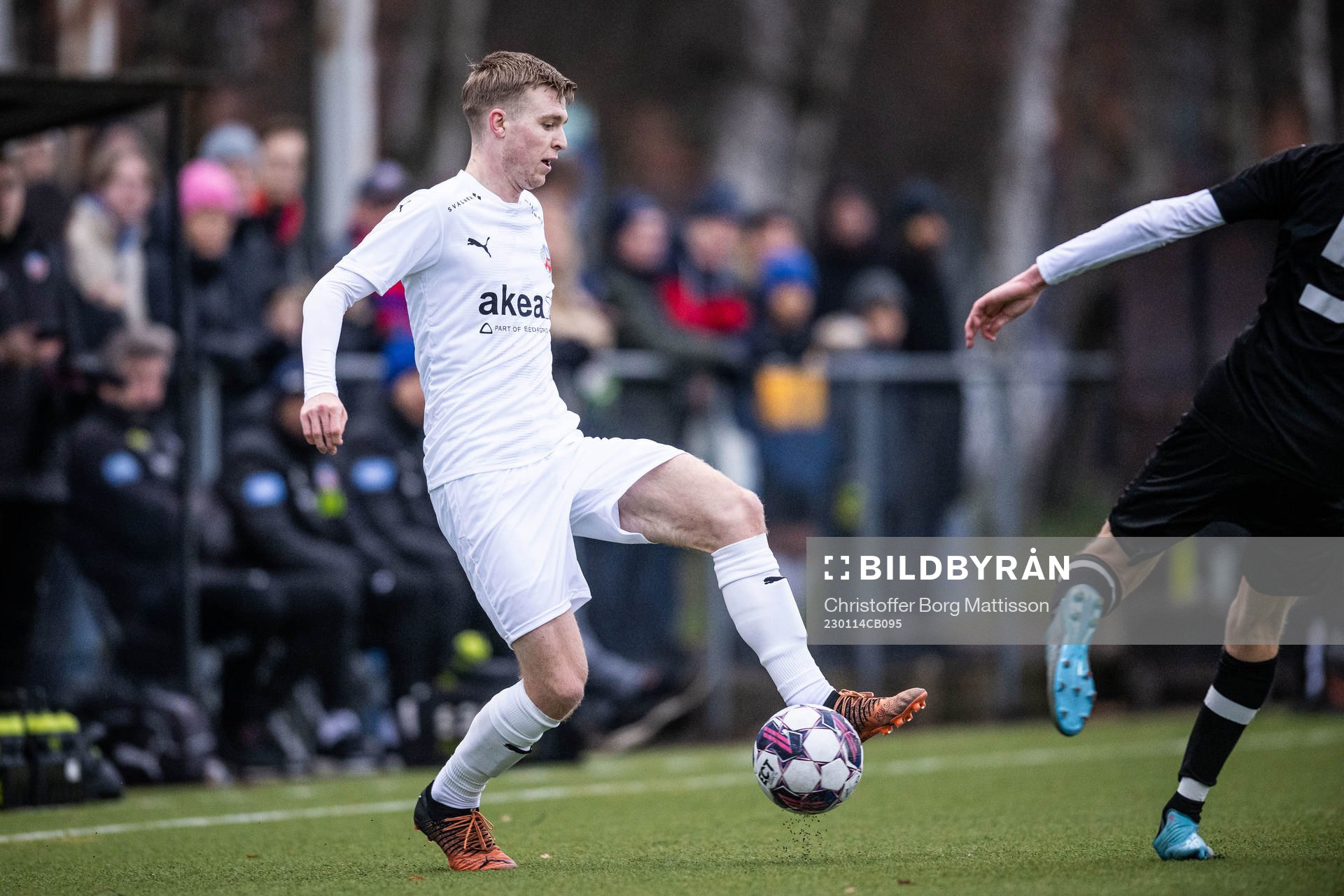 Helsingborgs William Westerlund