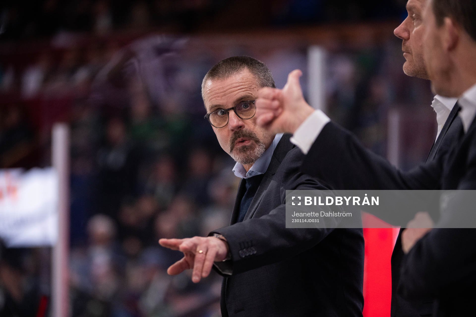 HV71s huvudtränare Tommy Samuelsson