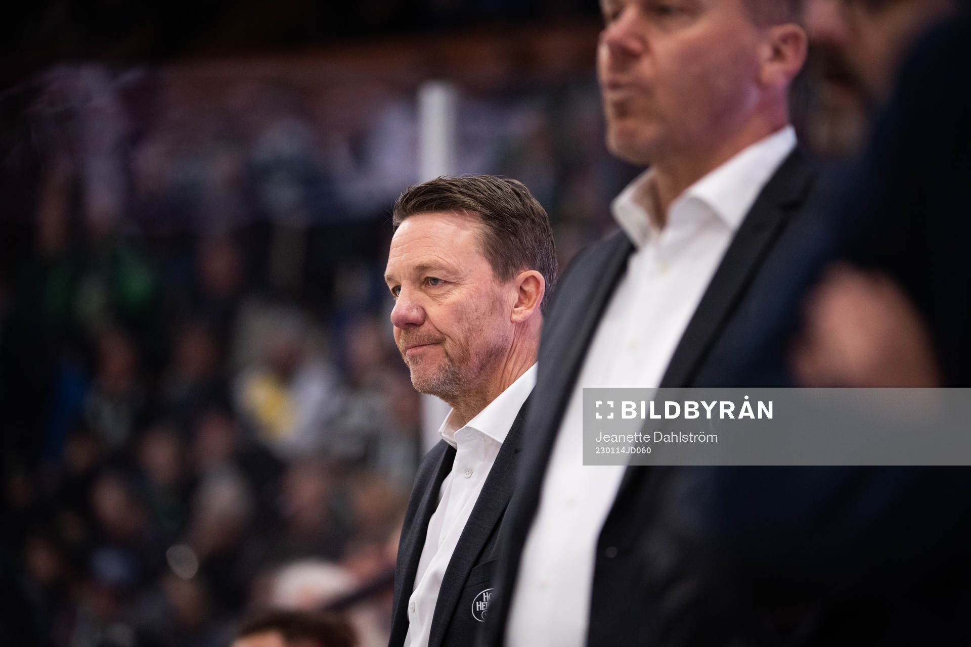 HV71s assisterande tränare Charles Berglund