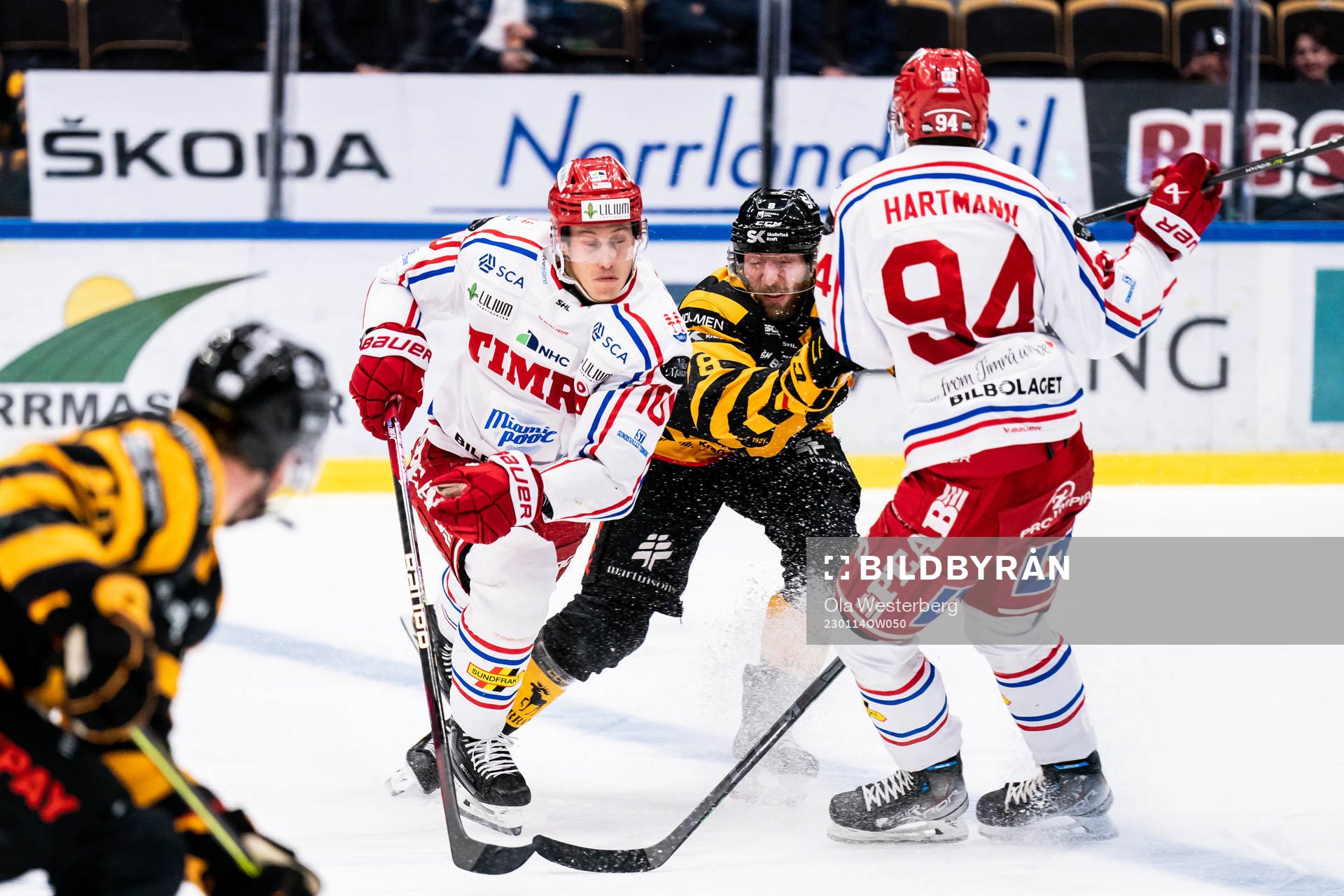 Timrås Robin Alvarez och Sebastian Hartmann mot
