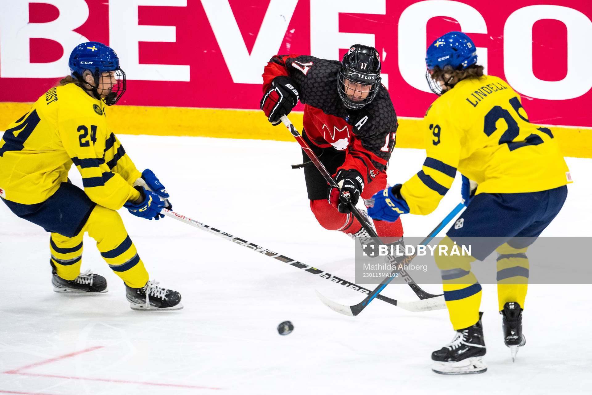 Ebba Hedqvist and Stella Lindell of Sweden and Alex Law of