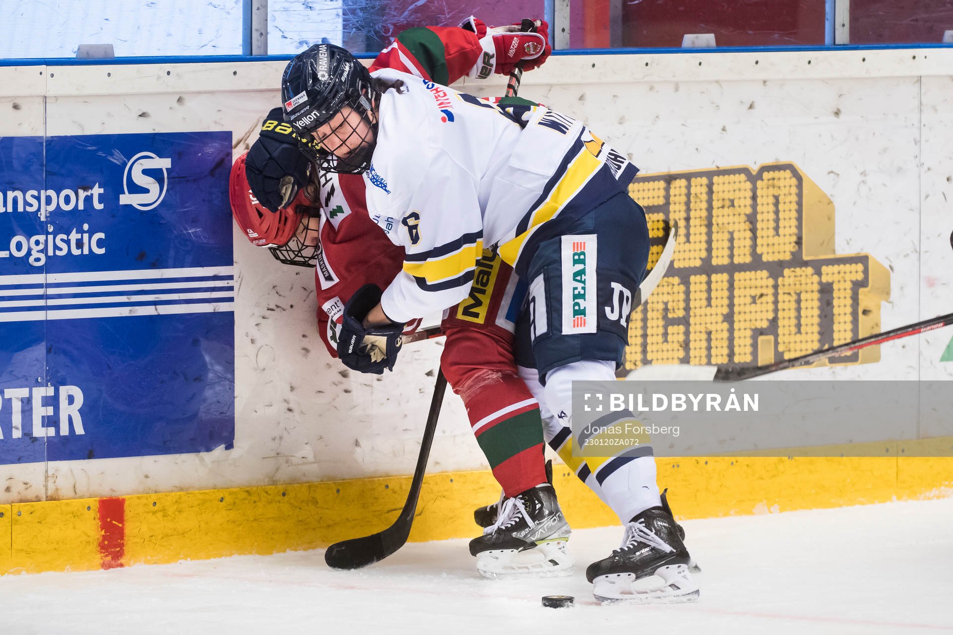 HV71s Charlotte Wittich