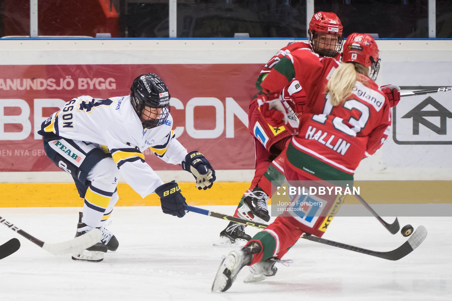 HV71s Agnez Svensson