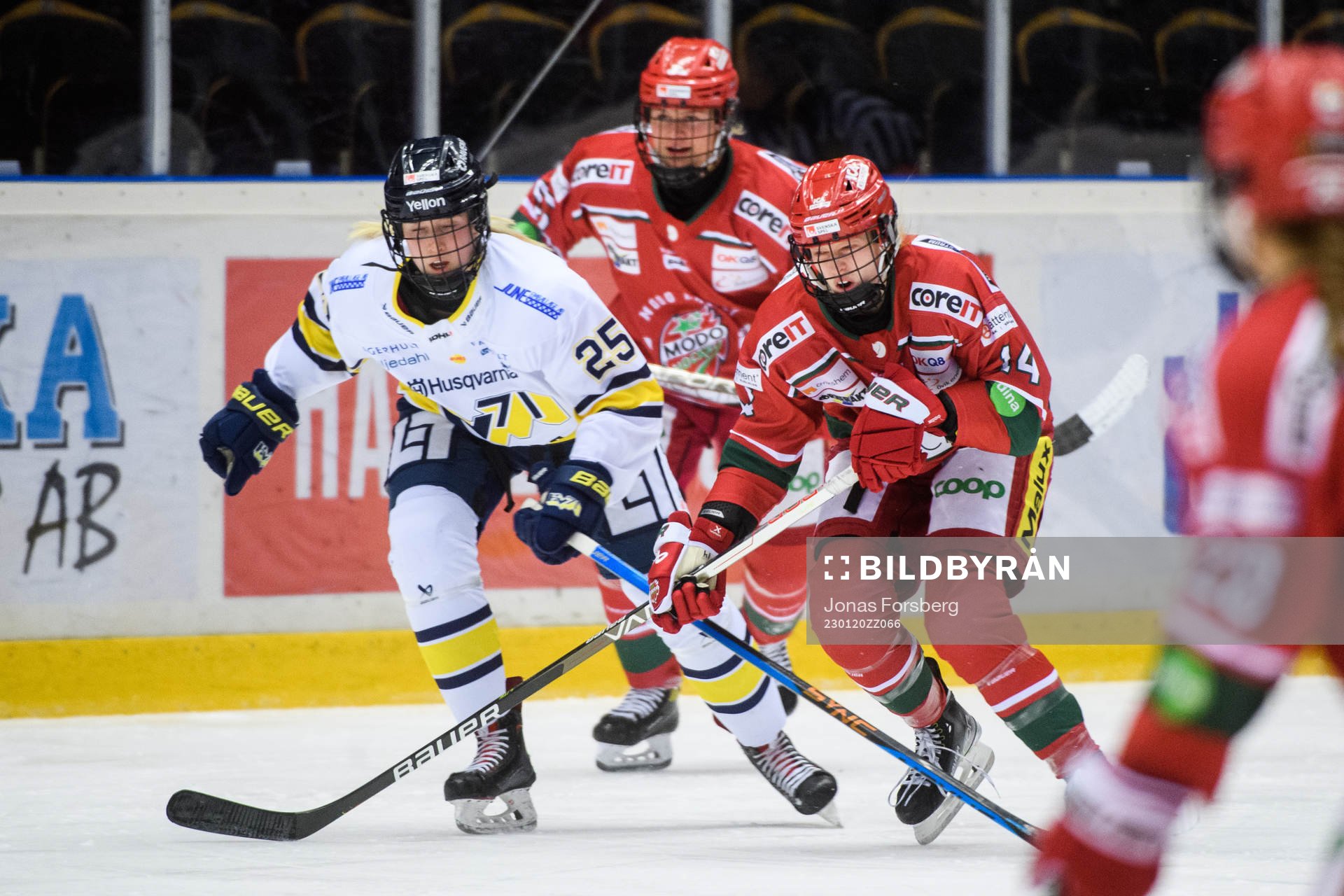 HV71s Nathalie Carlsson Mattila och Modos Bailee Bourassa