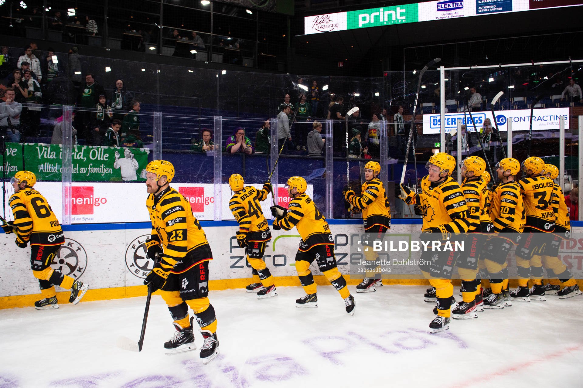 Skellefteås jublar