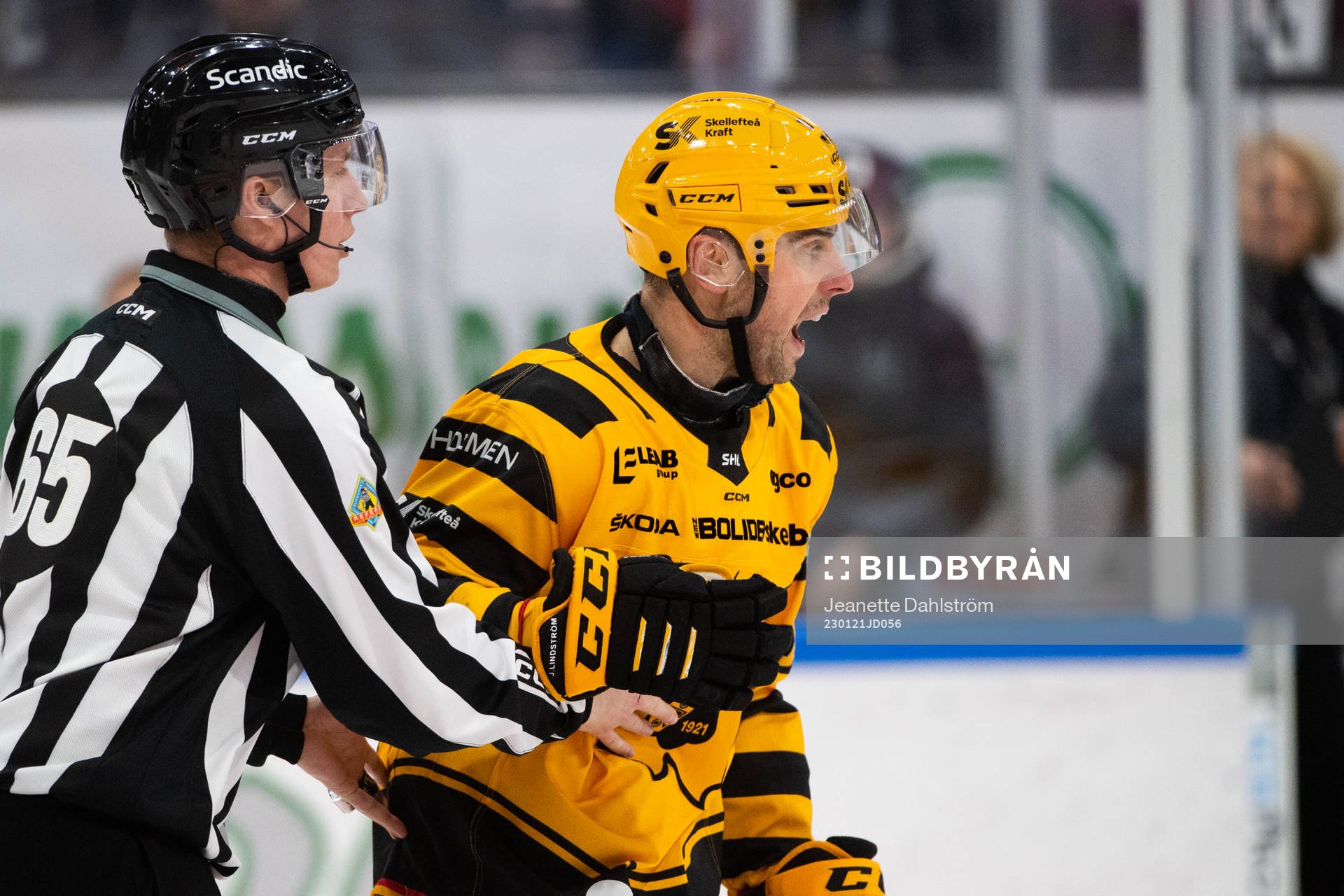 Domare Rasmus Strömberg och Skellefteås Joakim Lindström