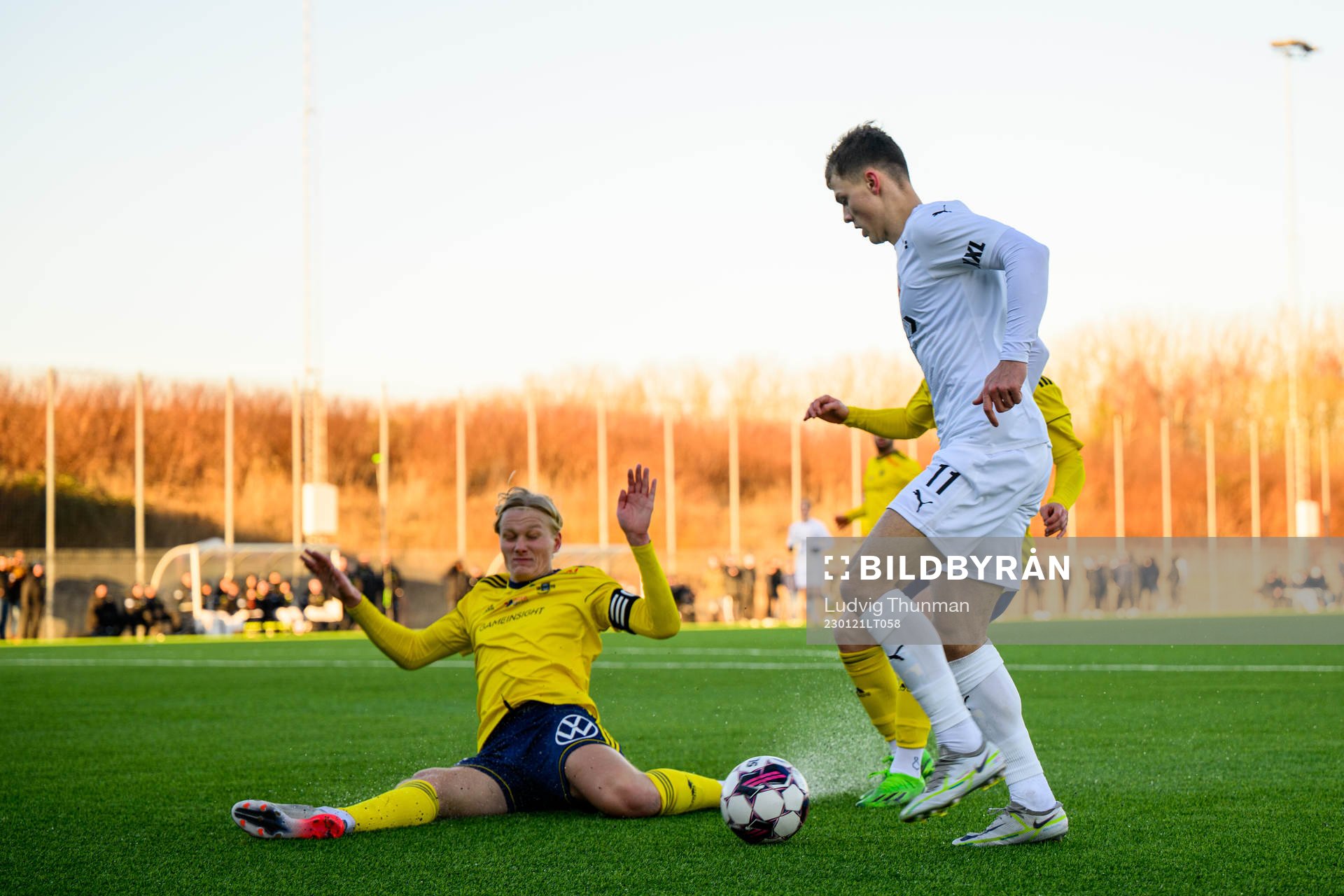 Helsingborgs Erik Ring