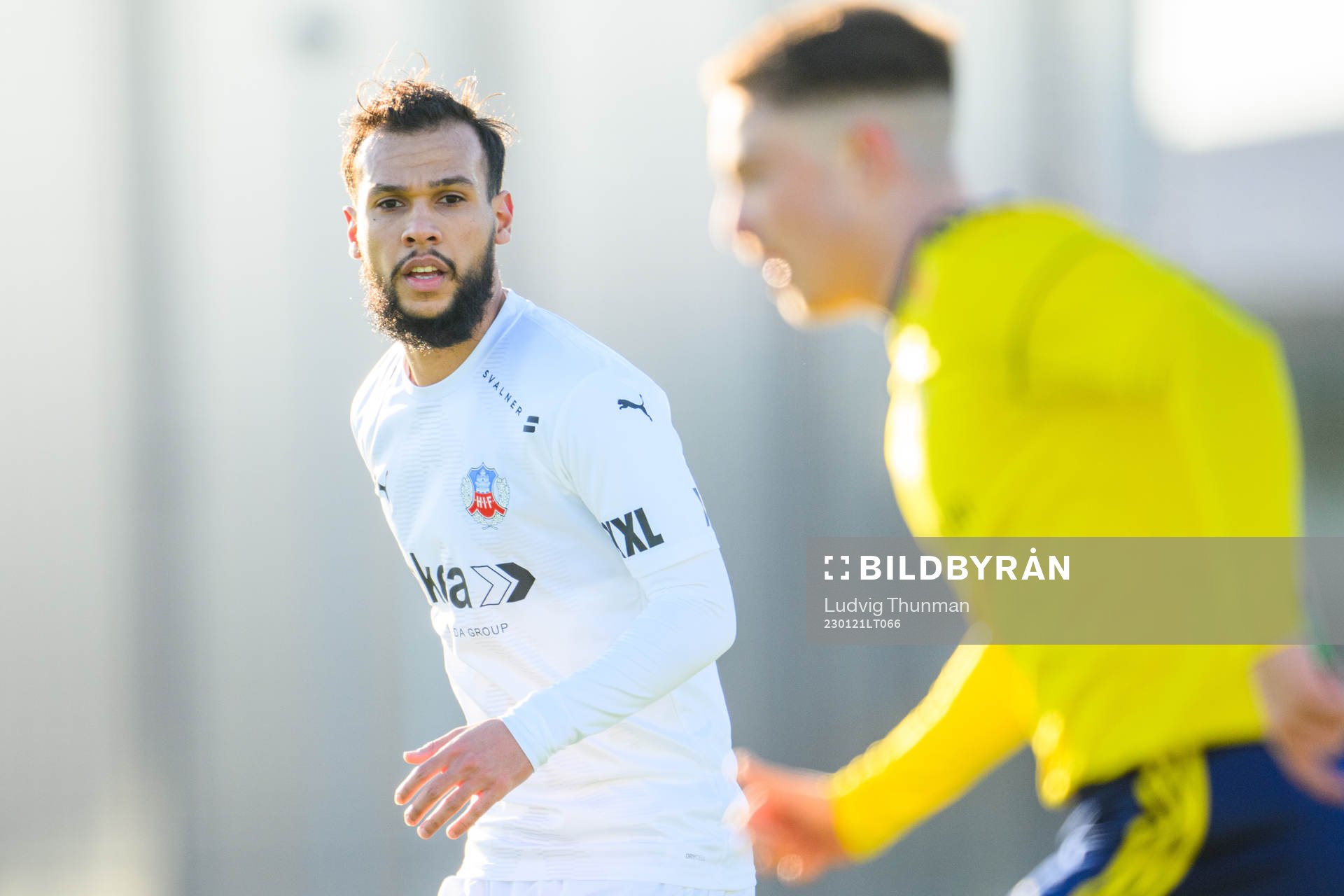 Helsingborgs Sumar Almadjed