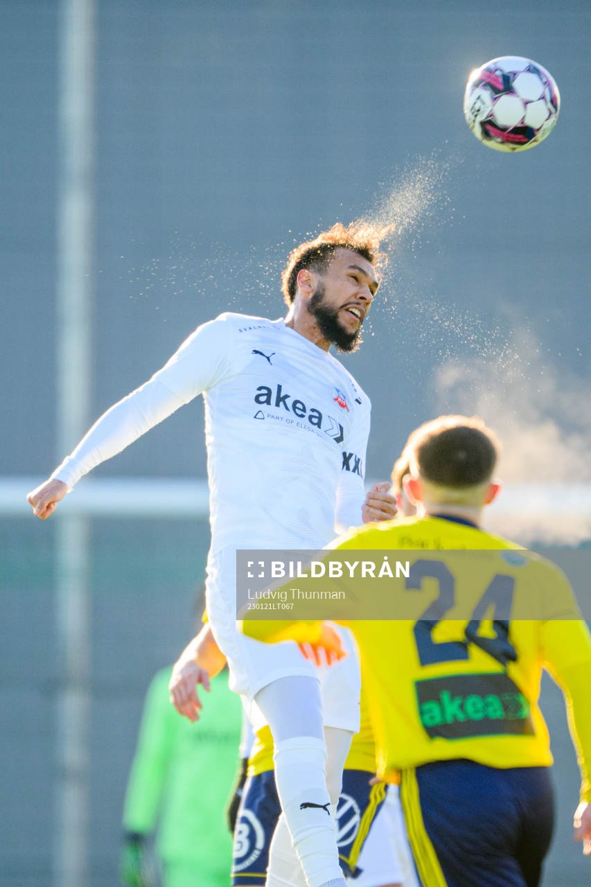 Helsingborgs Sumar Almadjed