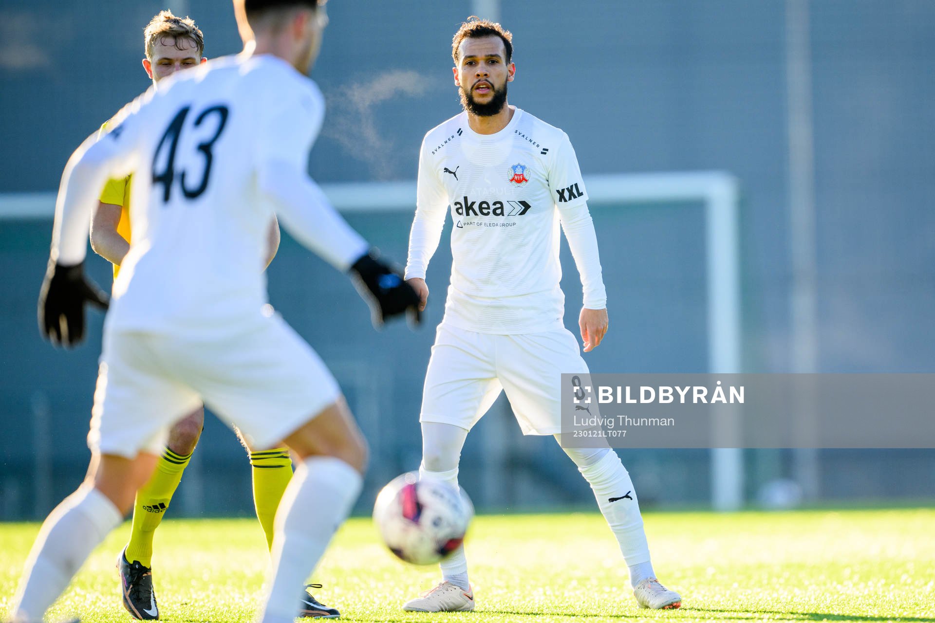 Helsingborgs Sumar Almadjed
