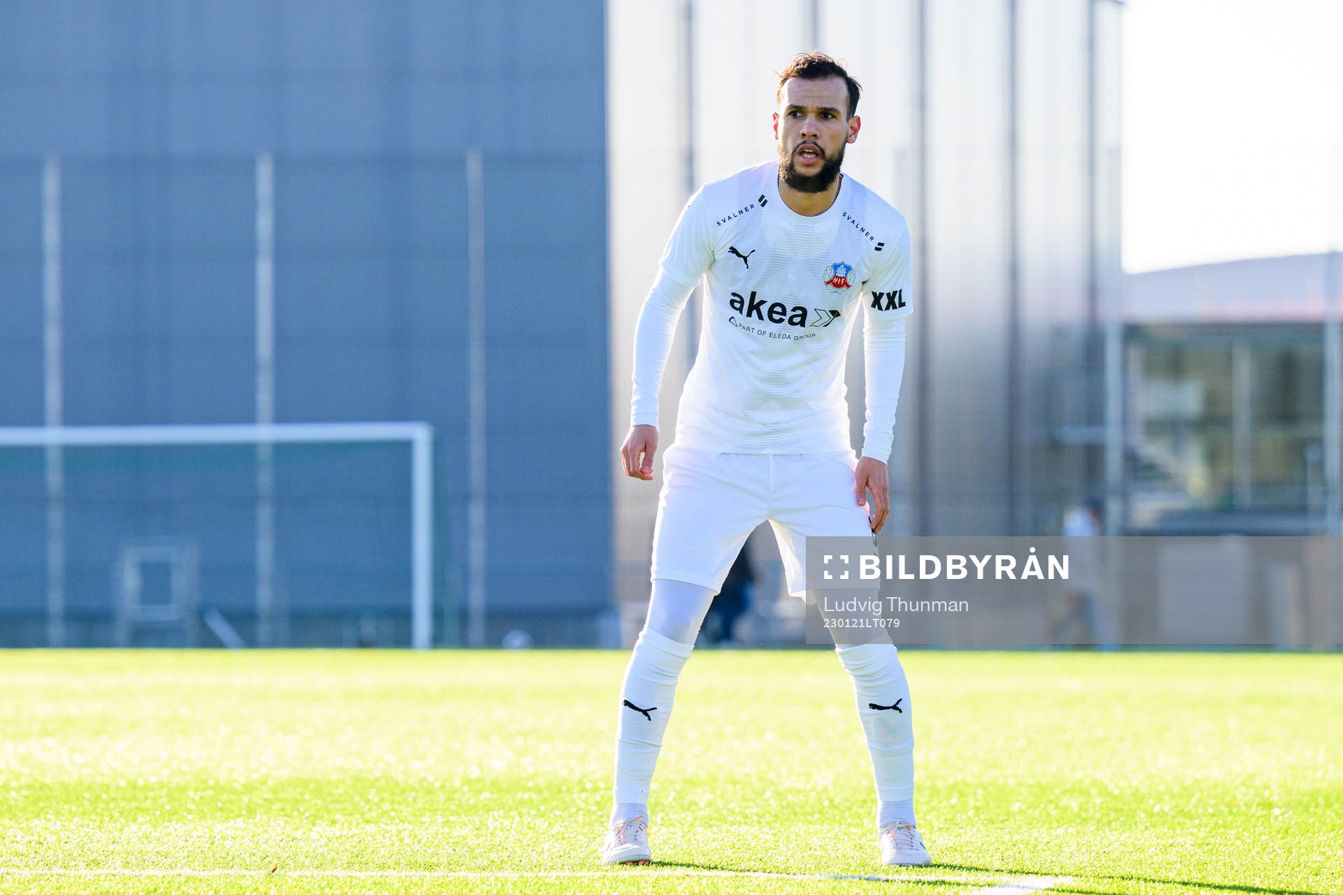 Helsingborgs Sumar Almadjed