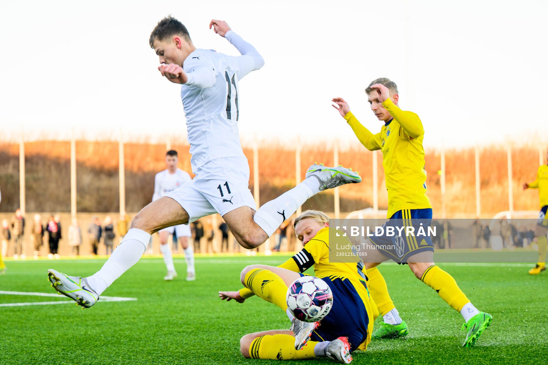 Helsingborgs Erik Ring