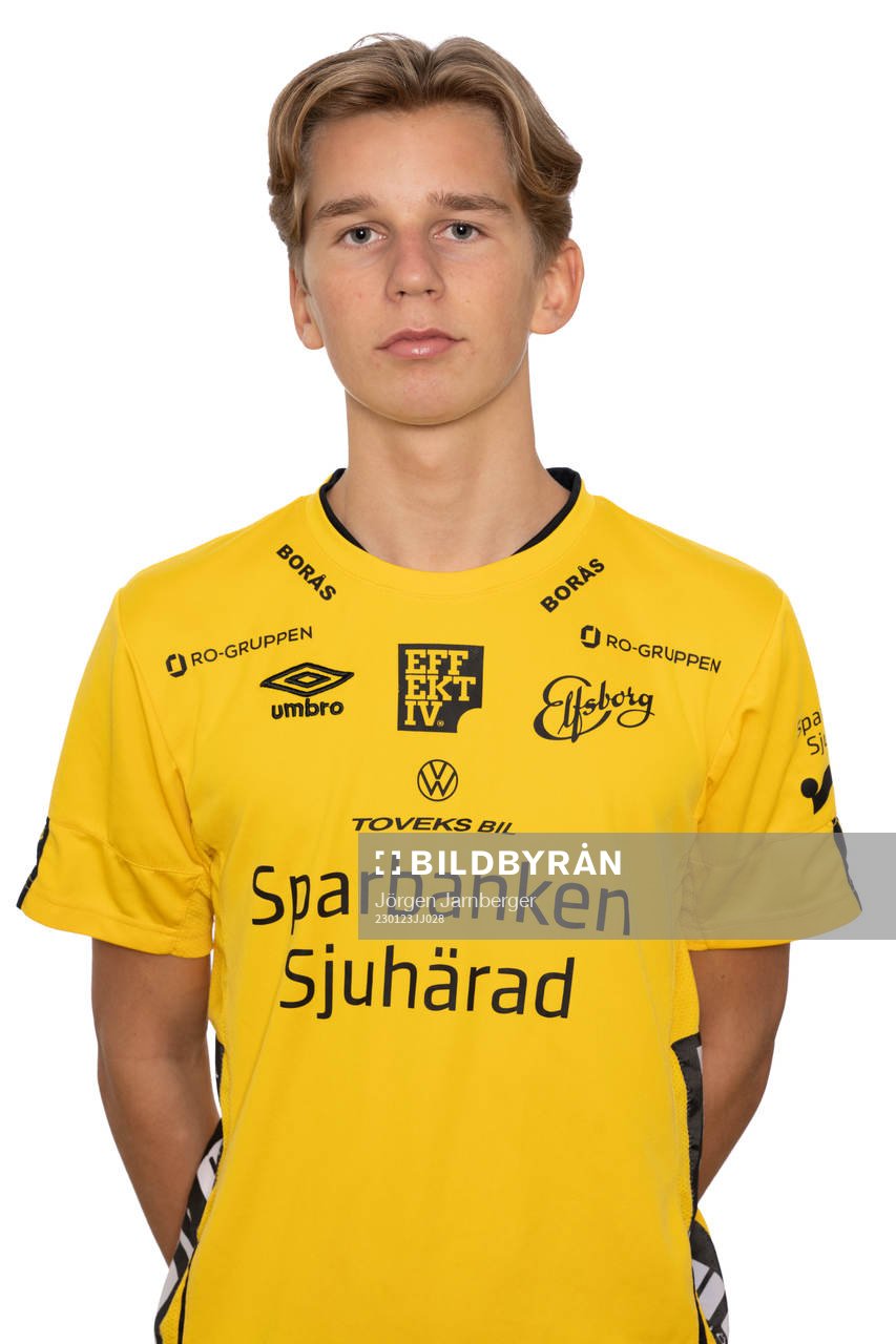 Folke von Schedvin