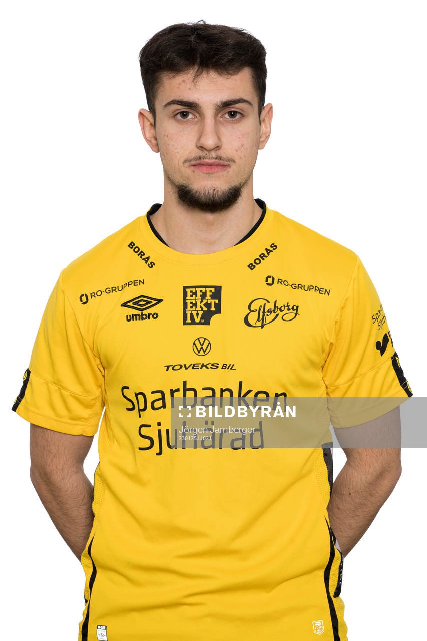 Hari Bajrektarevic