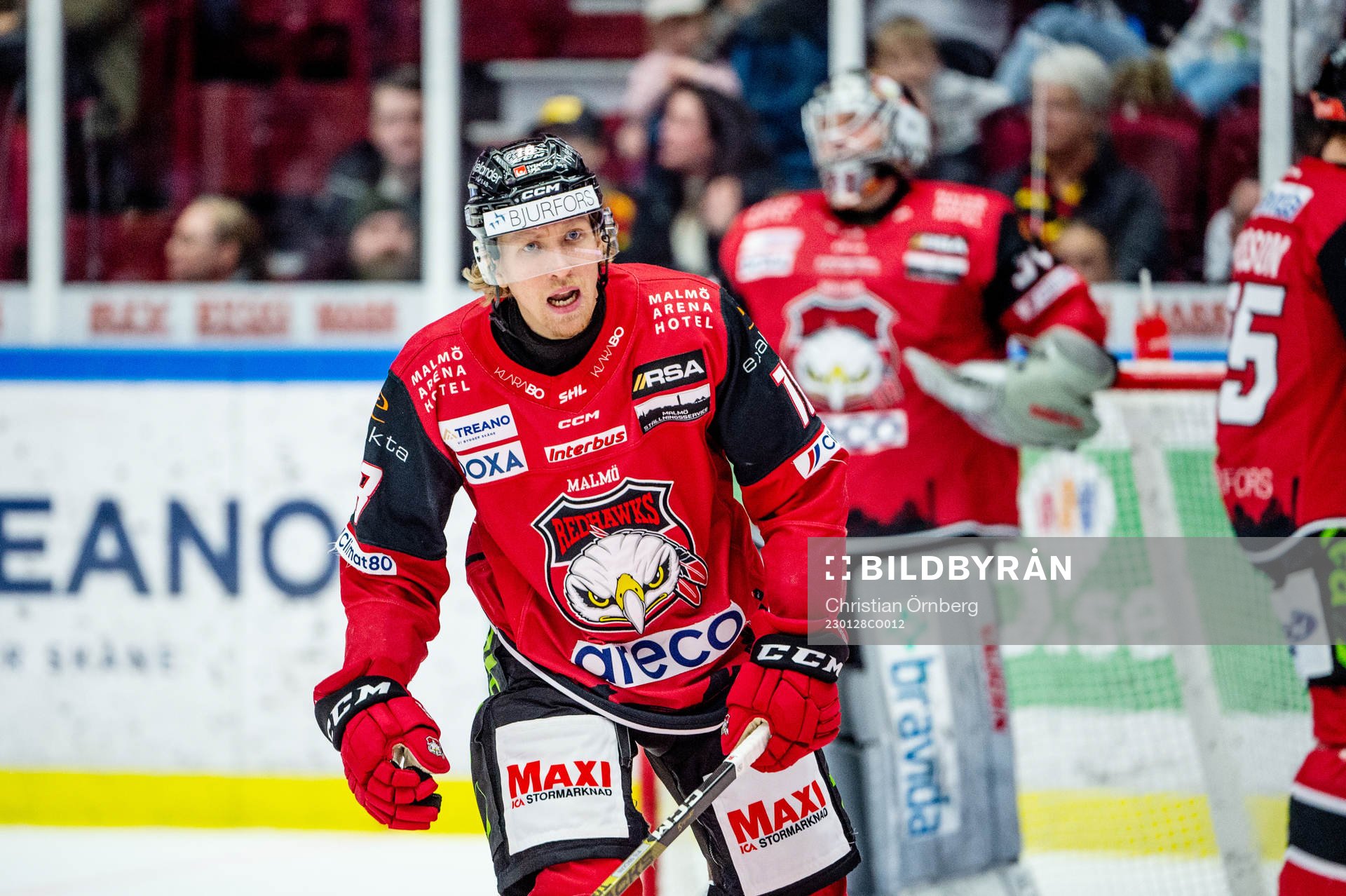 Malmö Redhawks Marcus Sylvegård