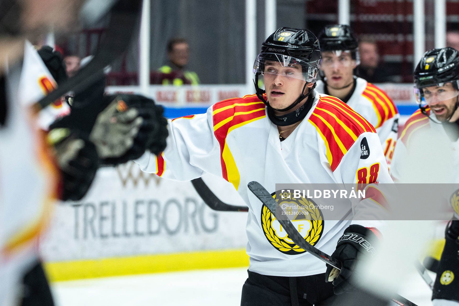 Brynäs Dmytro Timashov jublar