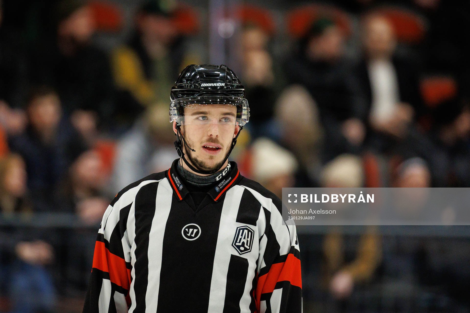 Domare Oscar Niklasson