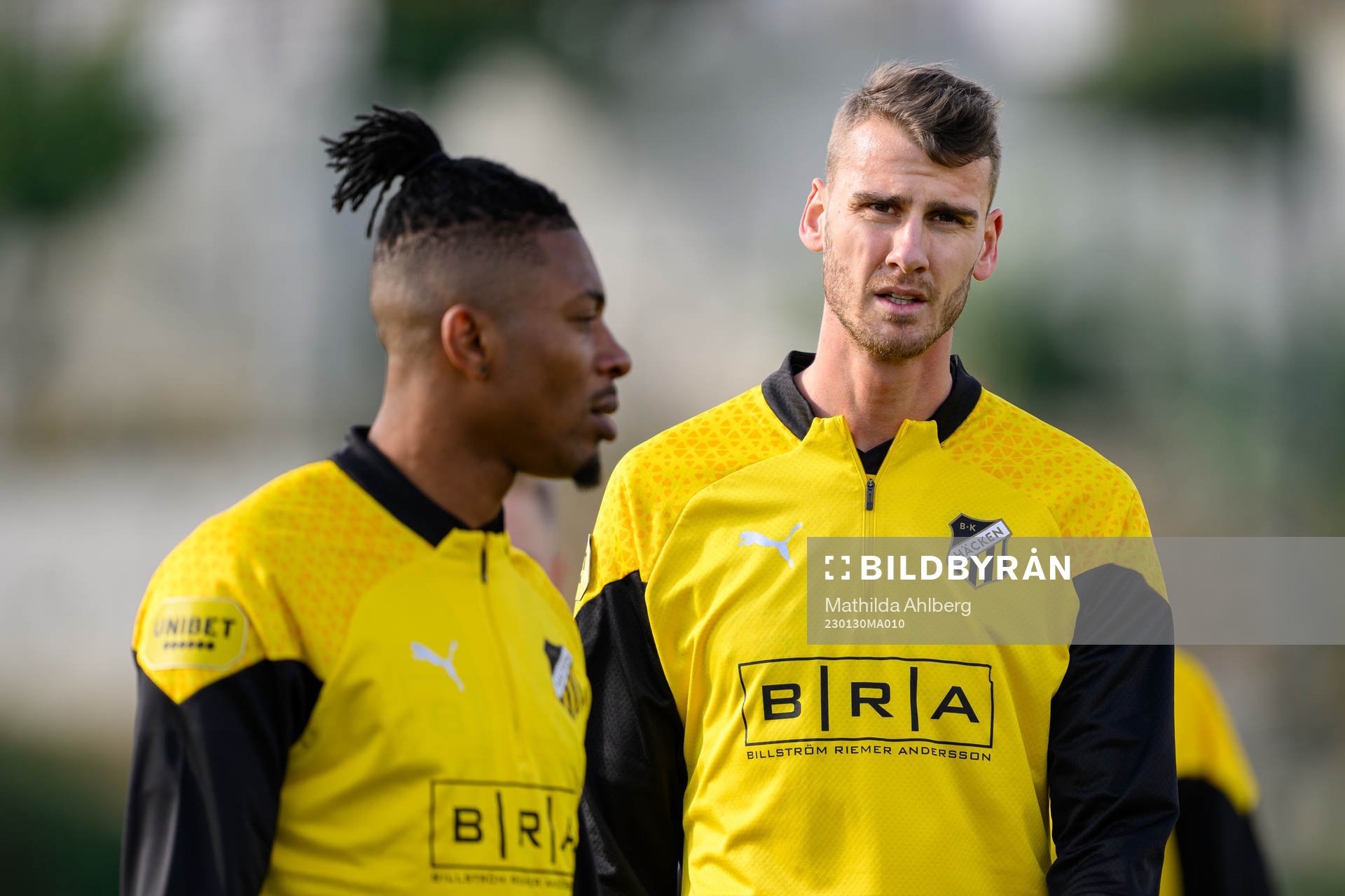 Johan Hammar