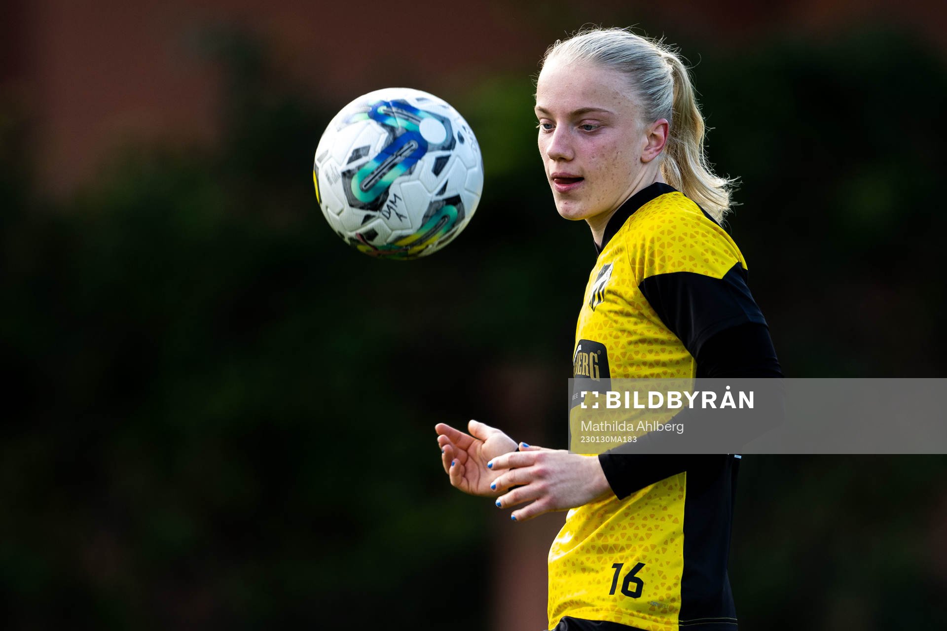 Anna Sandberg