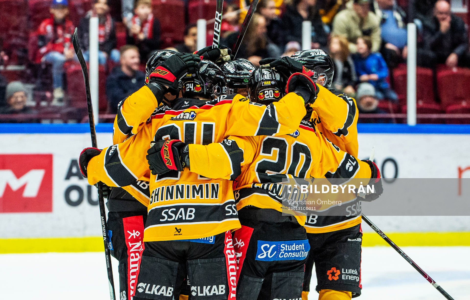 Luleås Brendan Shinnimin jublar med lagkamraterna