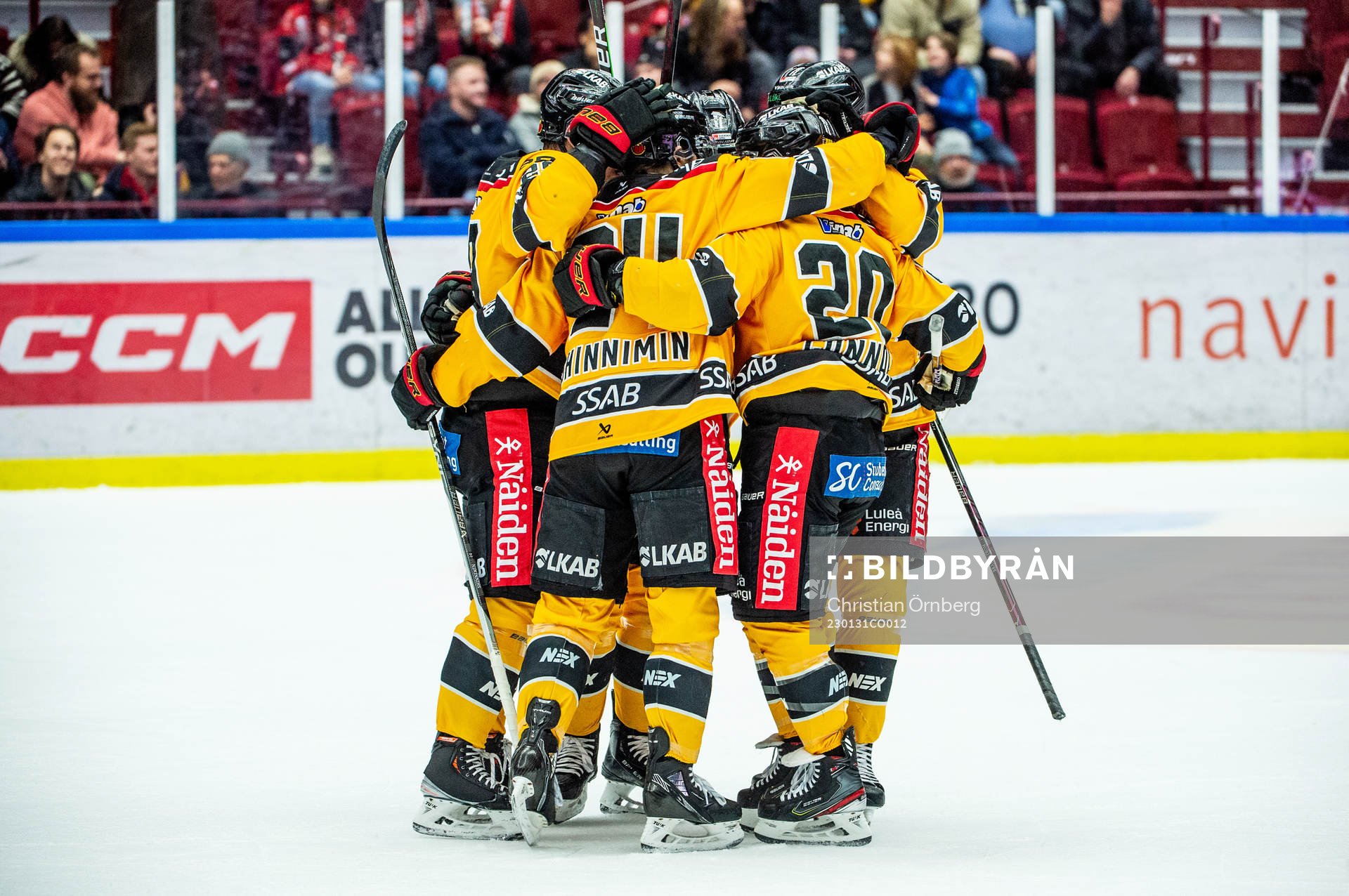 Luleås Brendan Shinnimin jublar med lagkamraterna