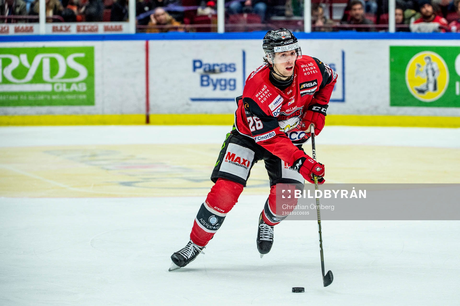 Malmö Redhawks Thomas Schemitsch