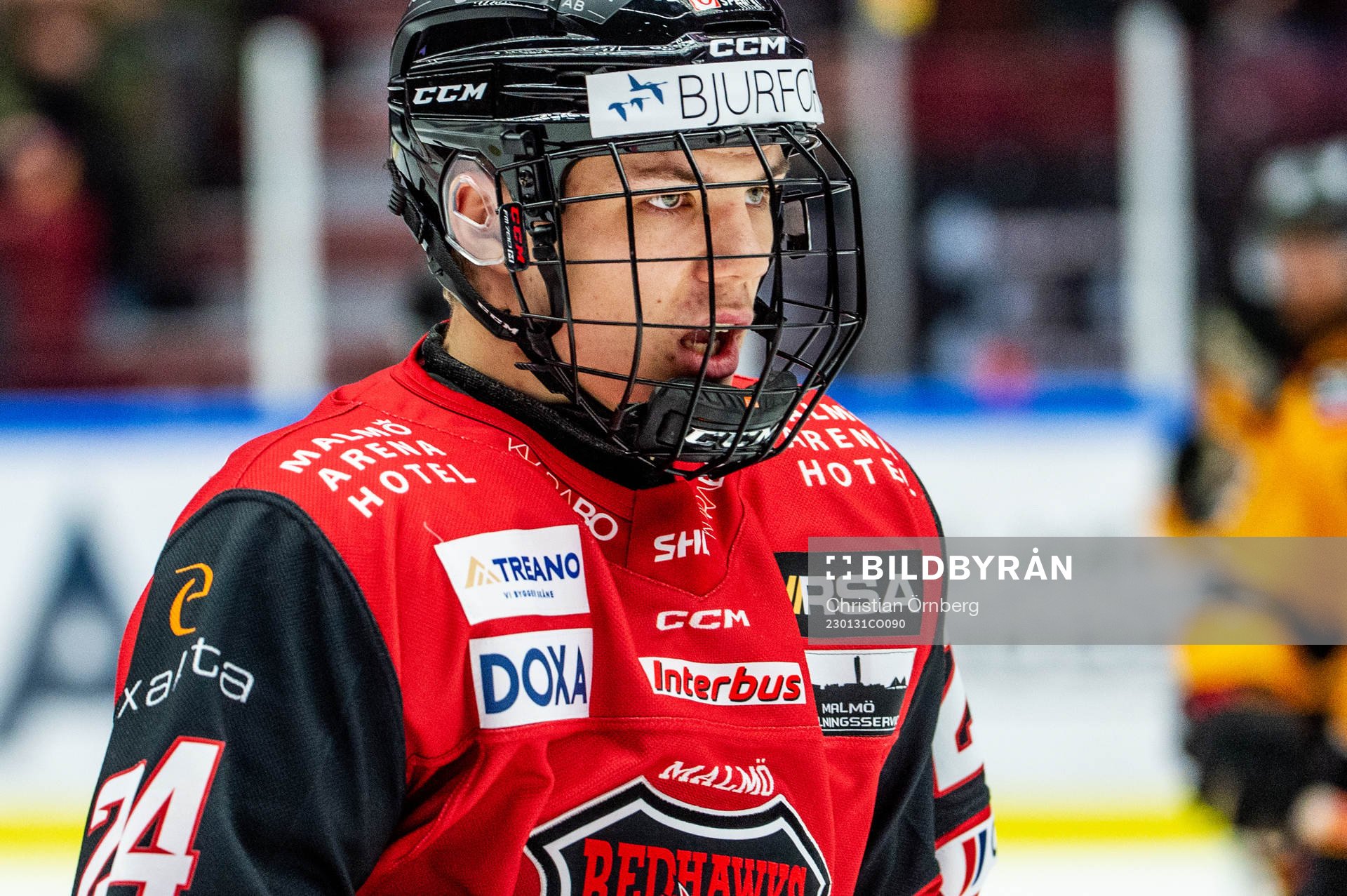 Malmö Redhawks Anton Wahlberg