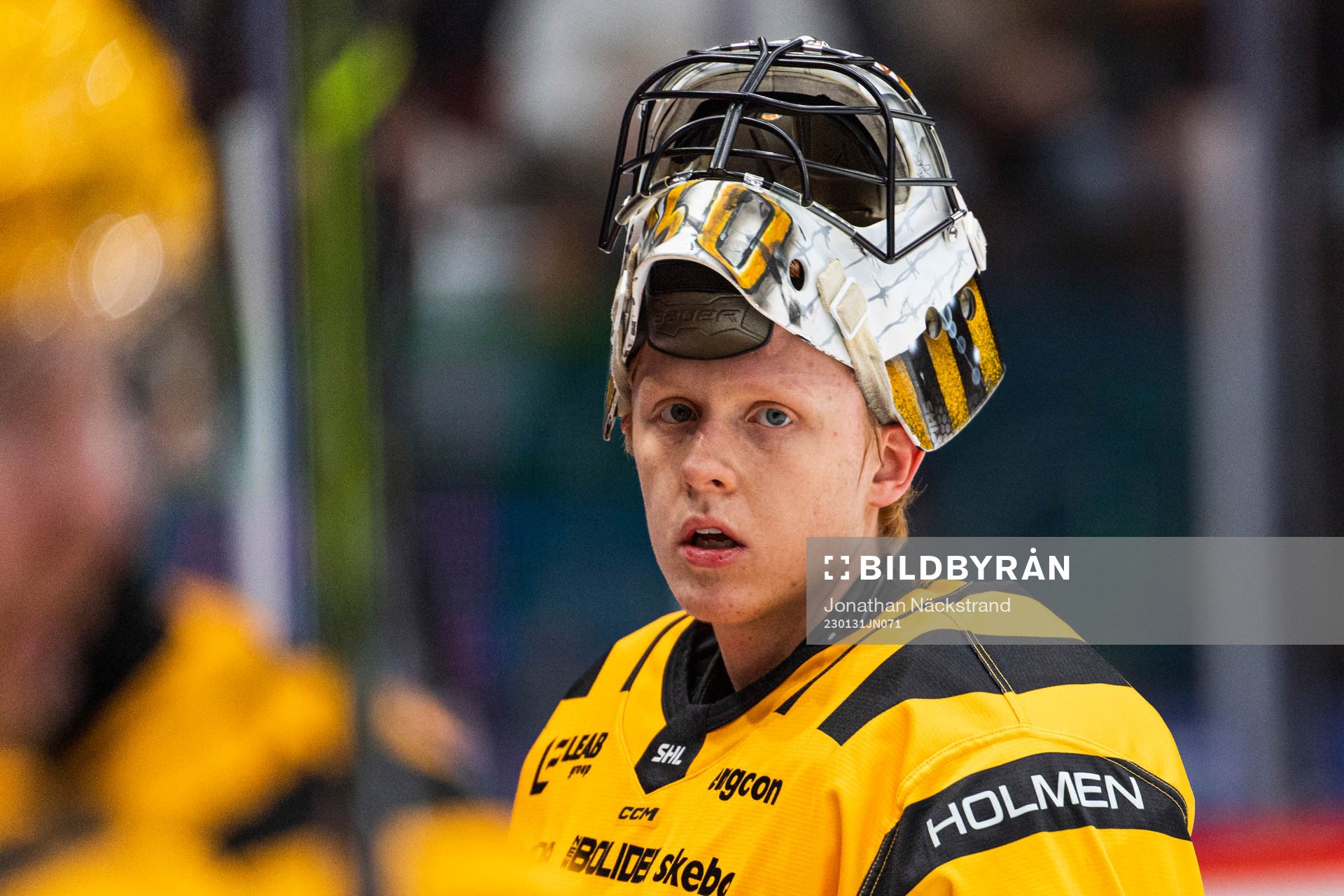 Skellefteås målvakt Alexander Hellnemo