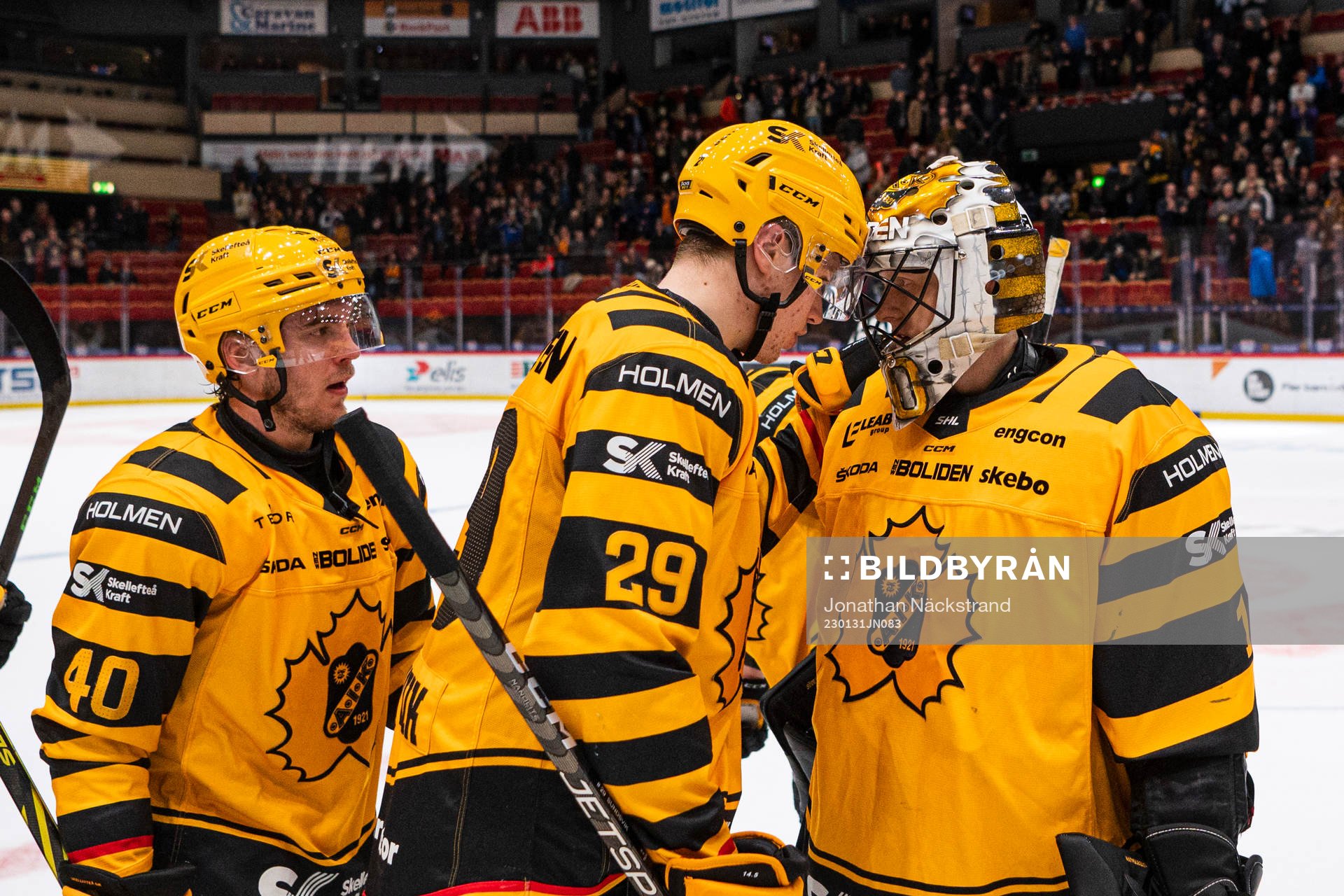 Skellefteås Andreas Wingerli, Albin Sundsvik och målvakt