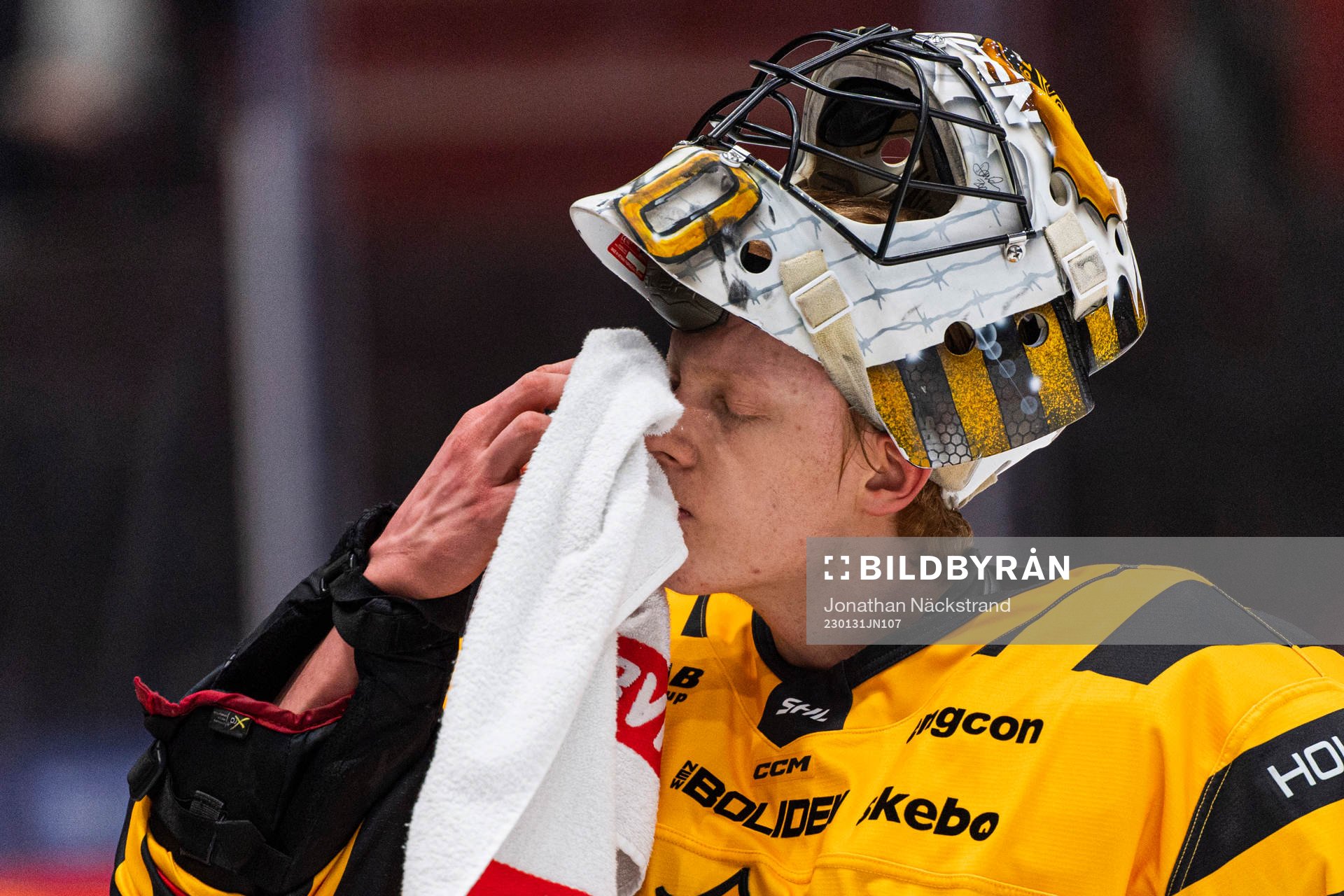 Skellefteås målvakt Alexander Hellnemo