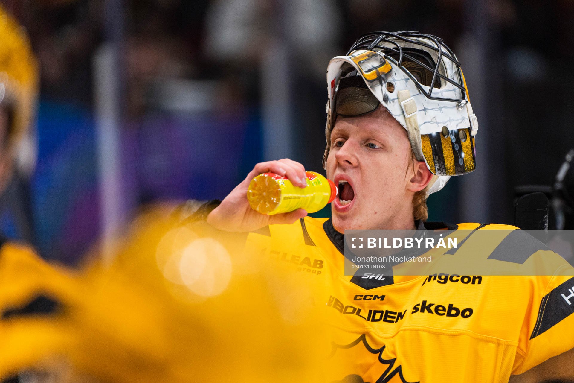 Skellefteås målvakt Alexander Hellnemo