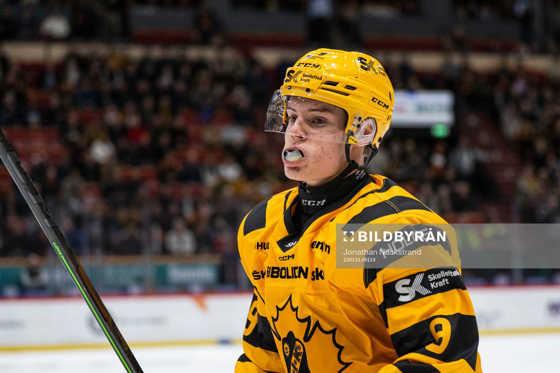 Skellefteås Theo Keilin