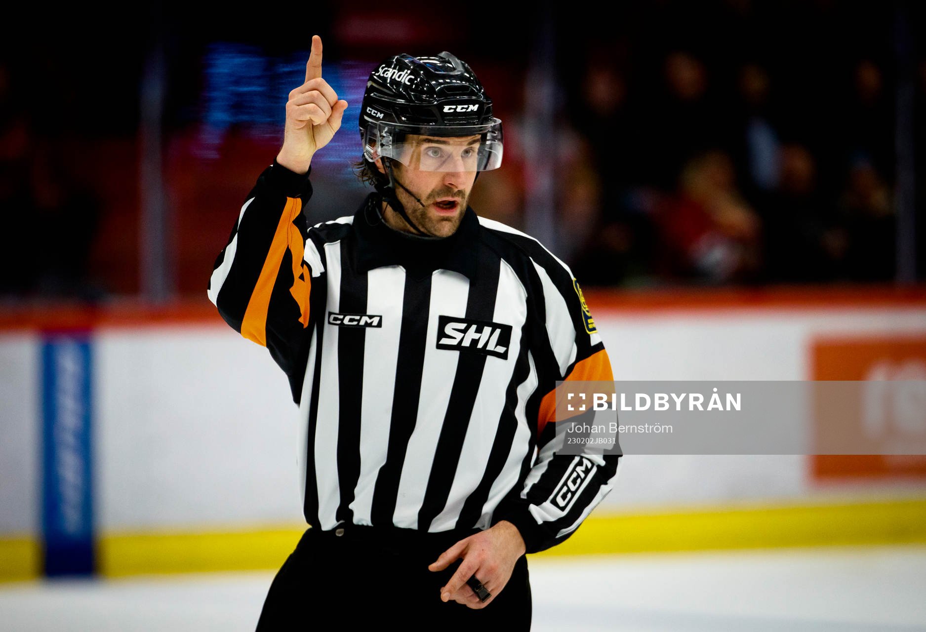Domaren Mikael Sjöqvist