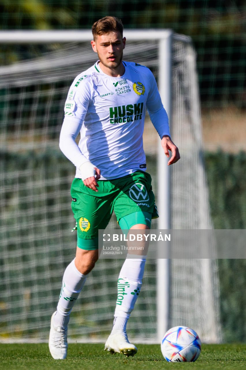 Ludvig Svanberg of Hammarby