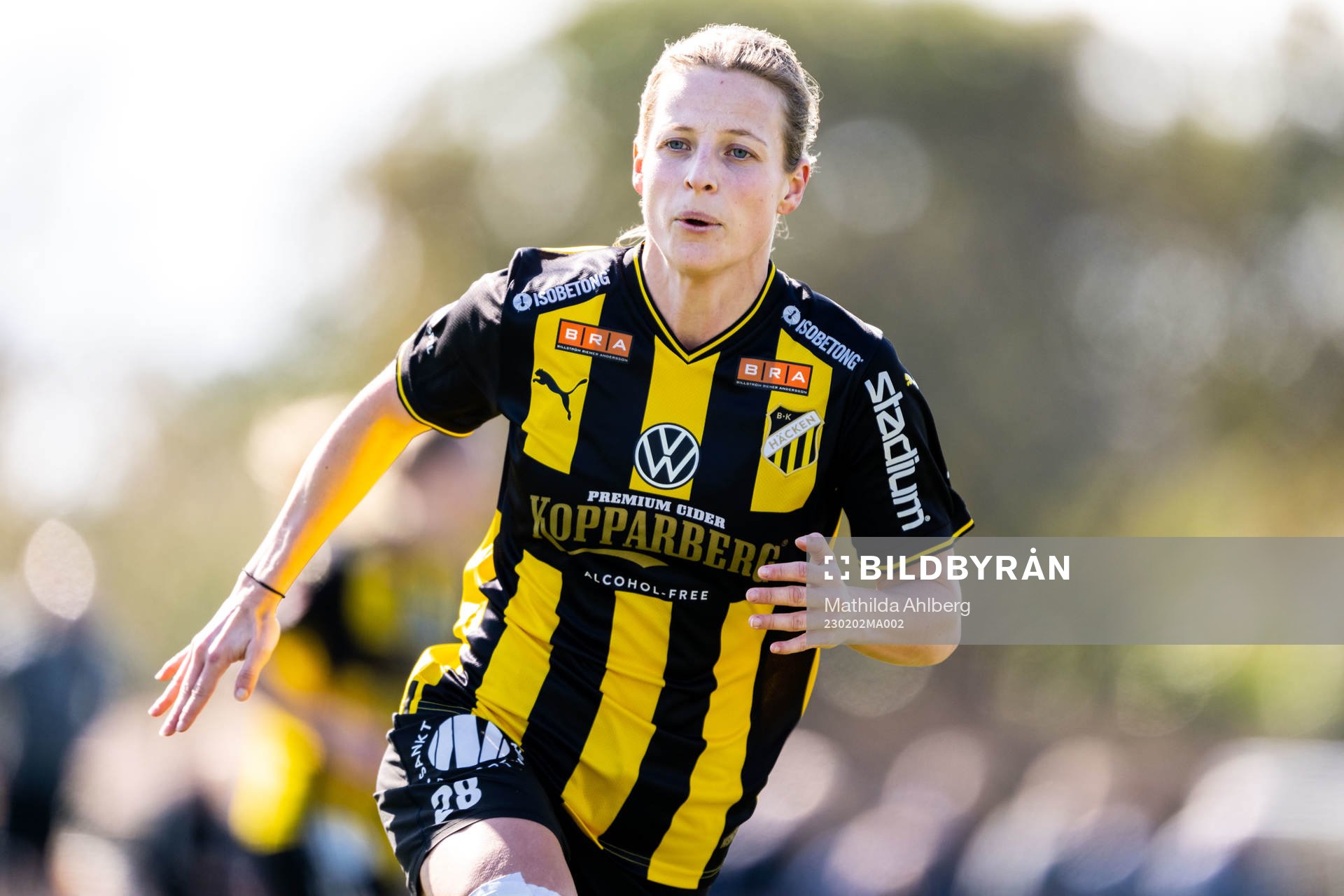 Häckens Anna Anvegård