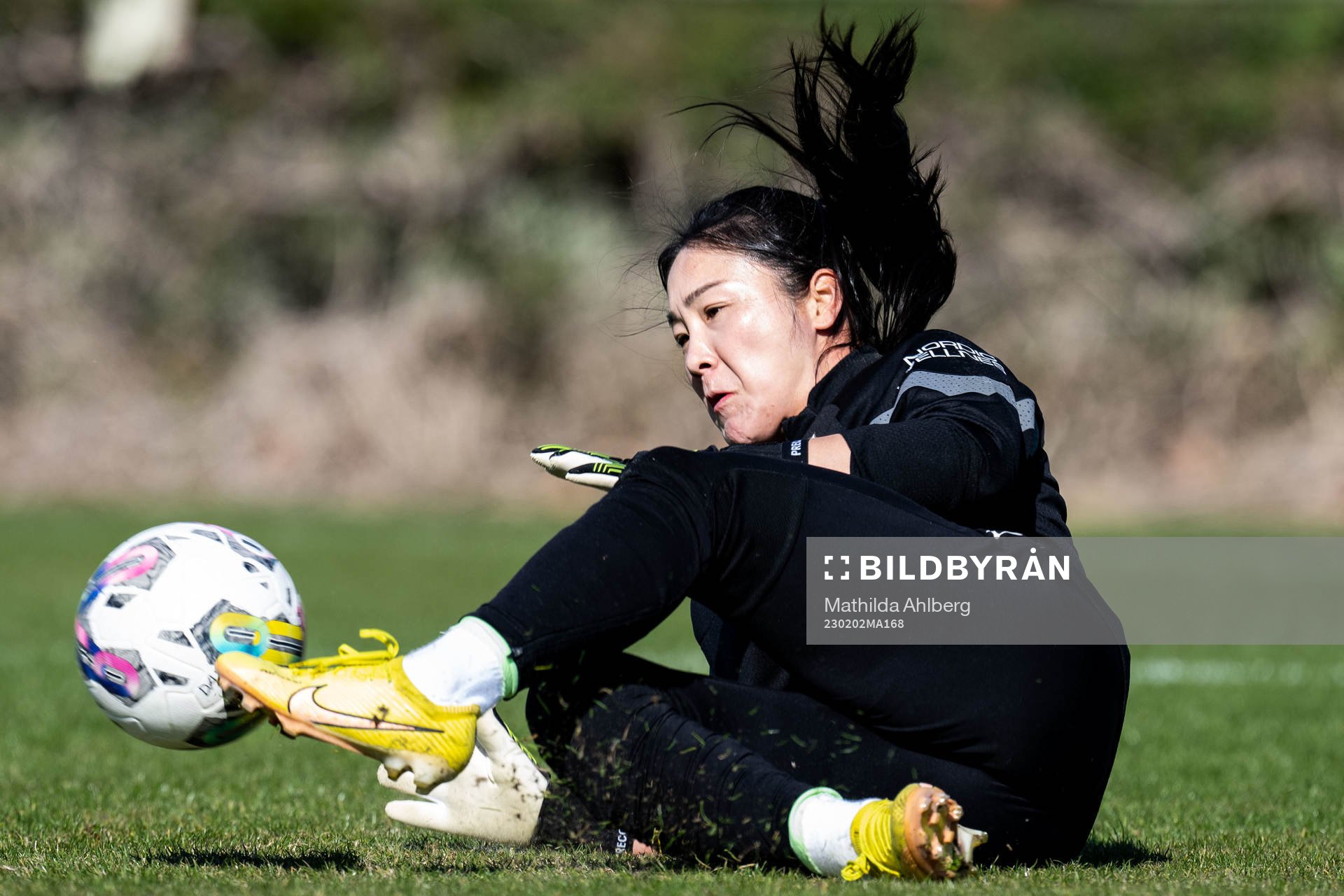 Häckens målvakt Younggeul Yoon