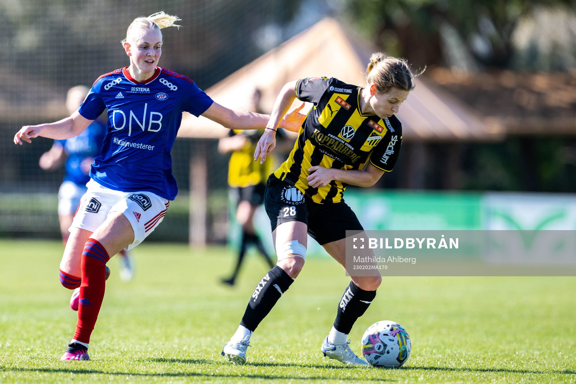 Häckens Anna Anvegård