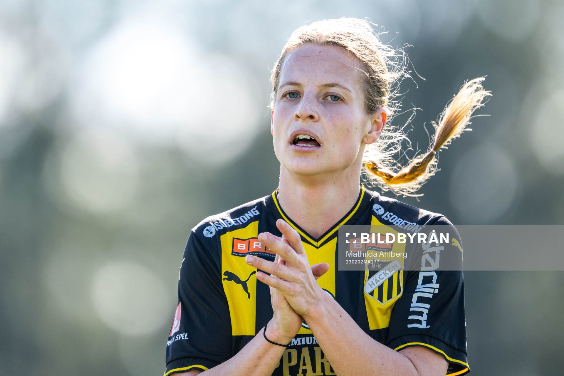 Häckens Anna Anvegård