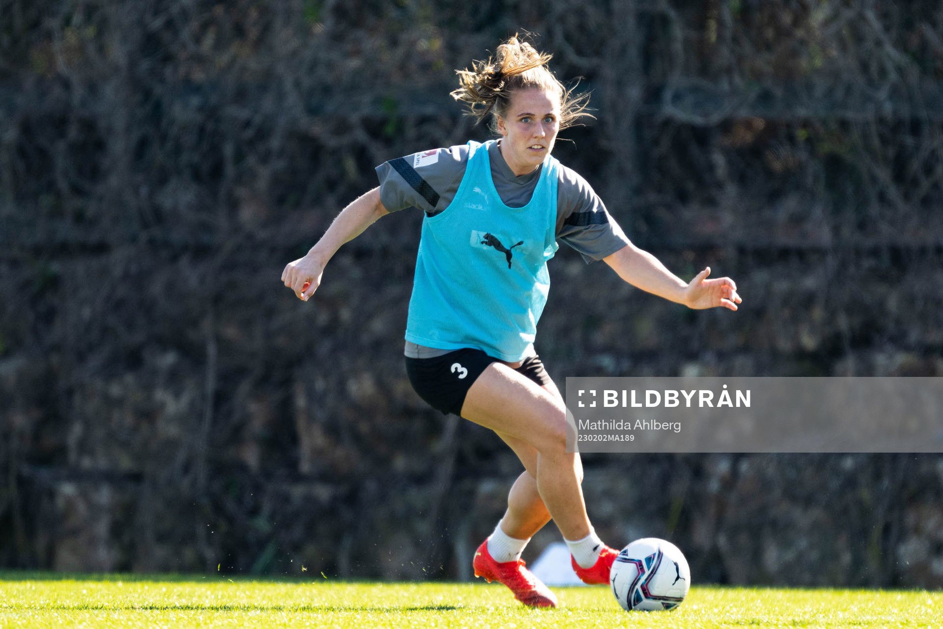 Gudrun Arnardottir