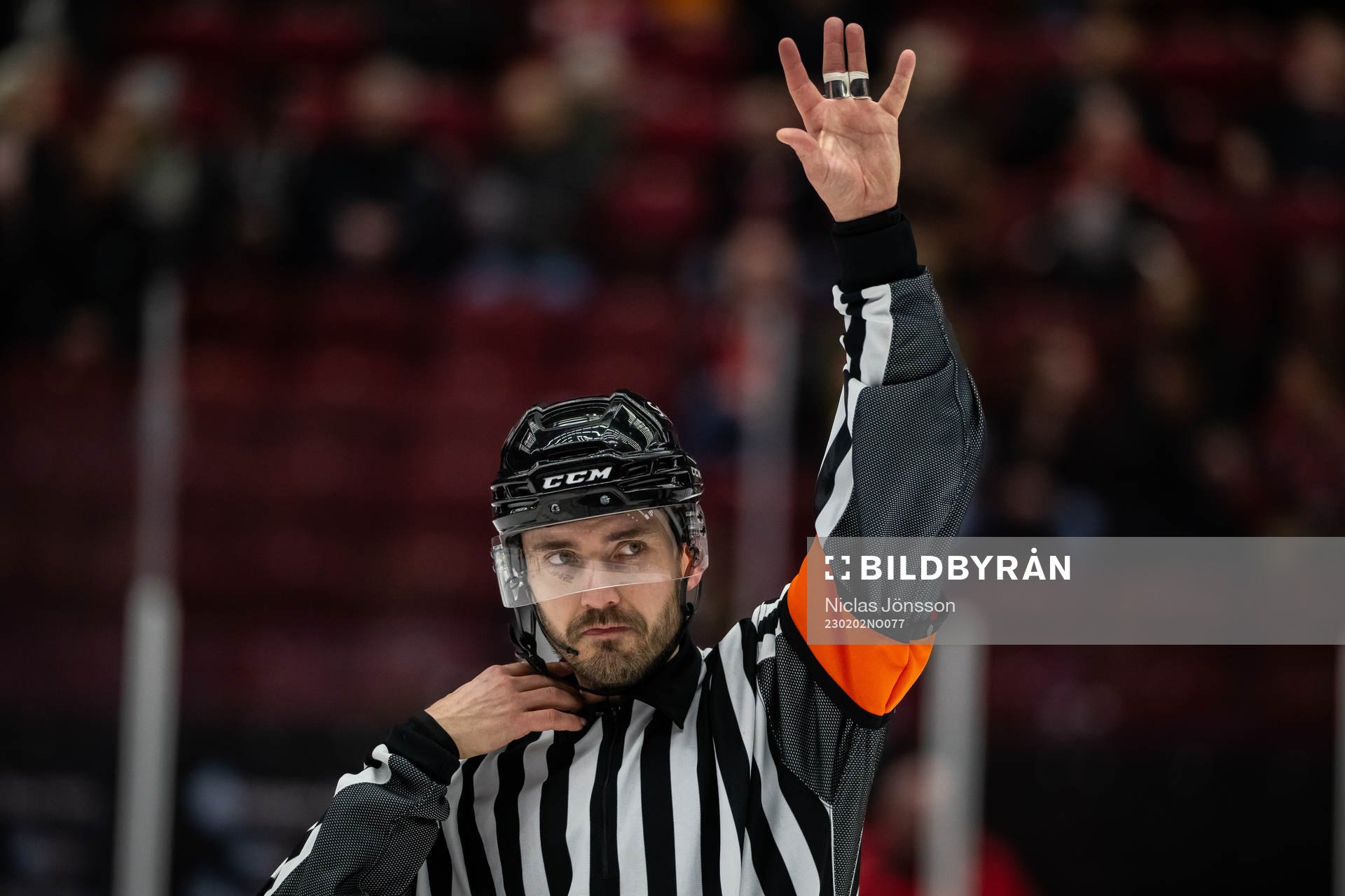 Domare Mattias Enroth