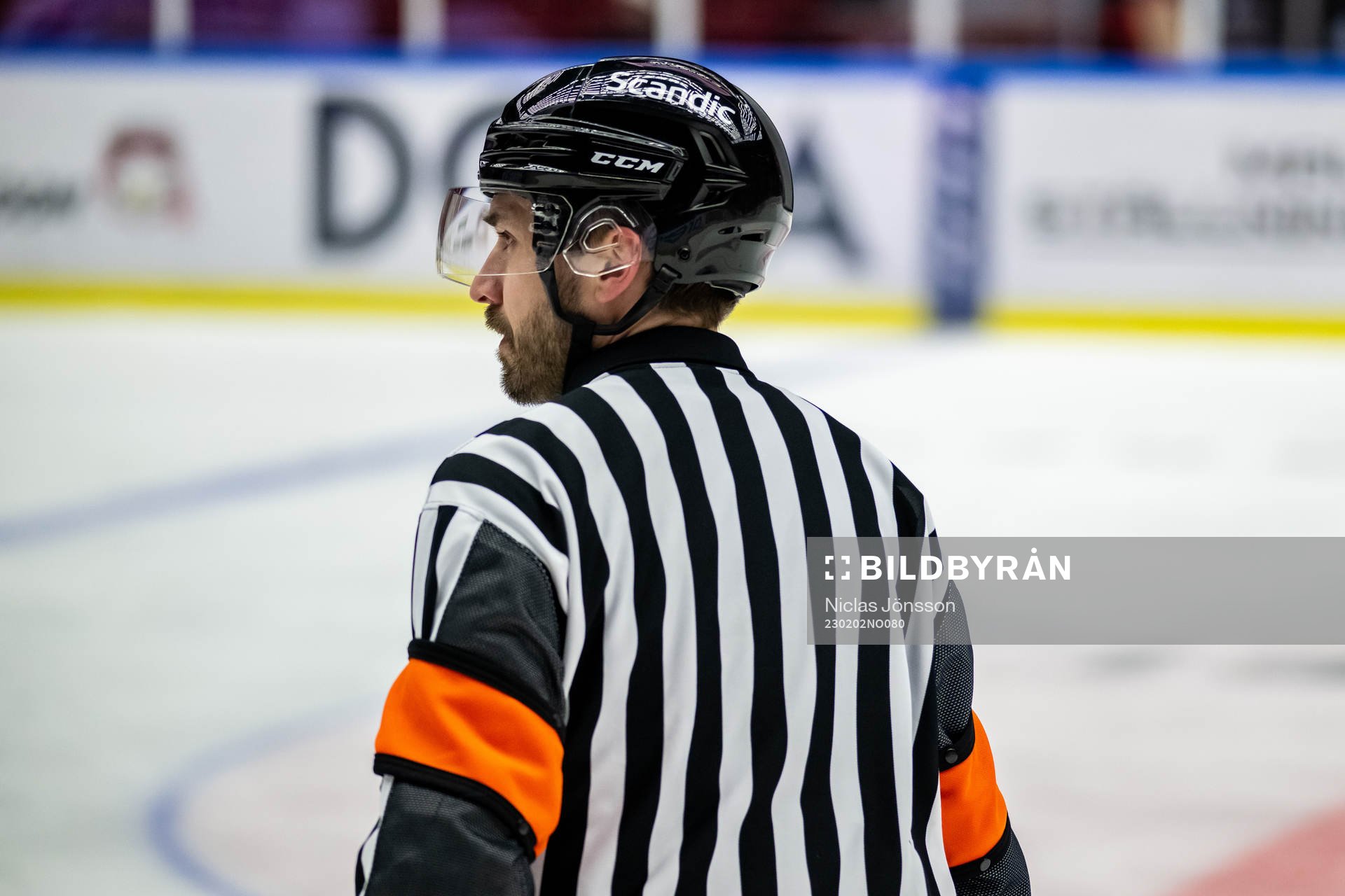 Domare Mattias Enroth