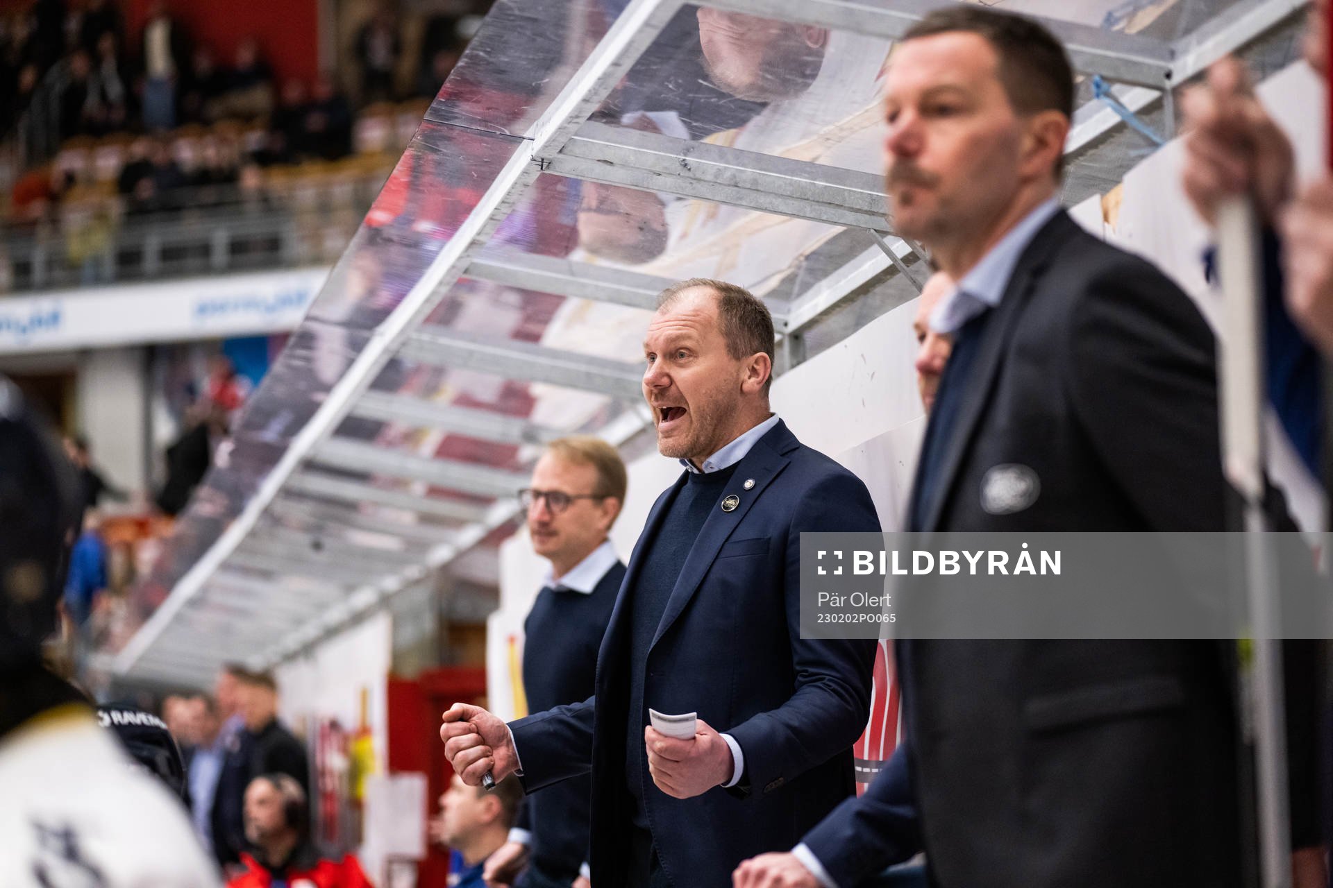 HV71s tränare Johan Lindbom jublar