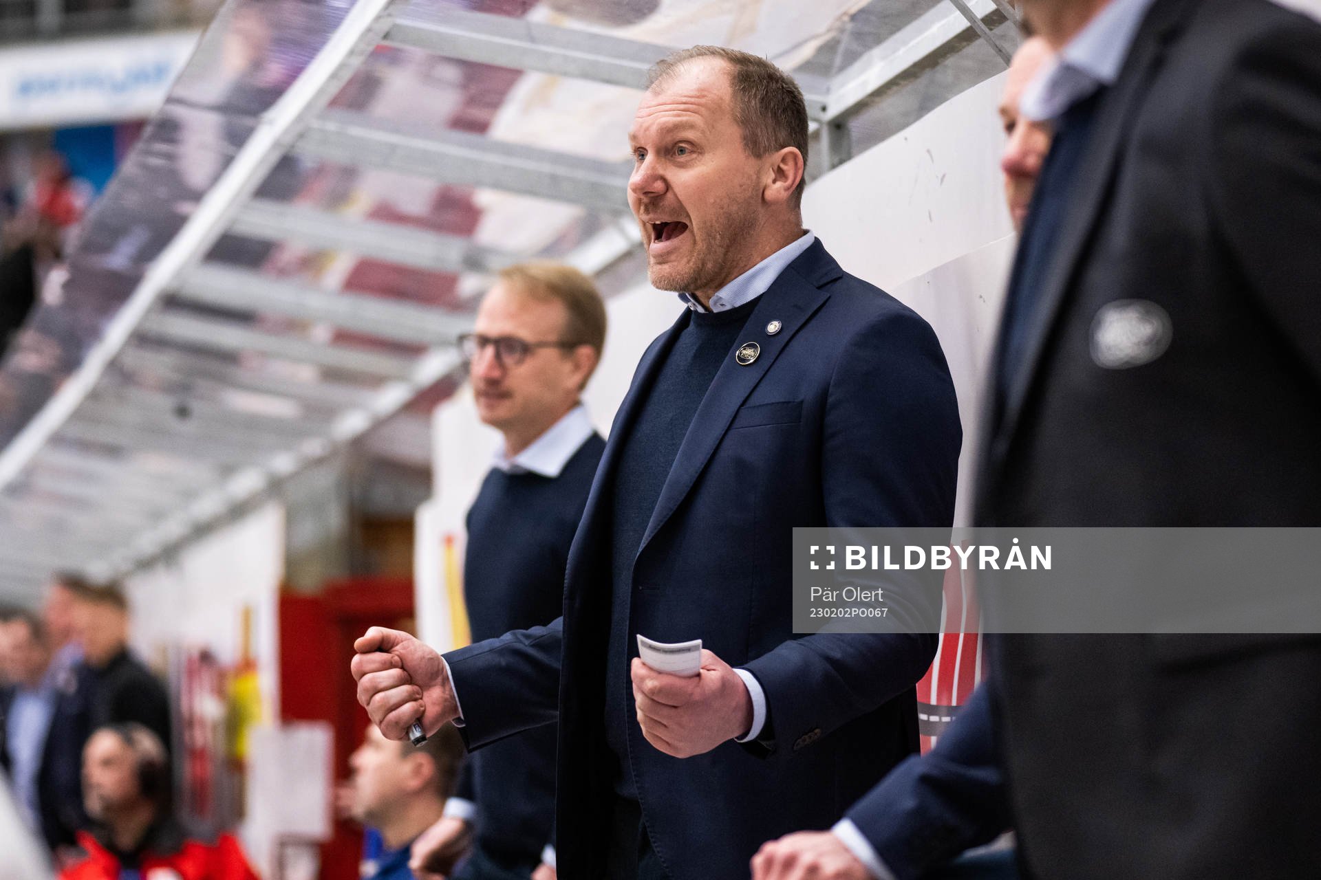 HV71s tränare Johan Lindbom jublar
