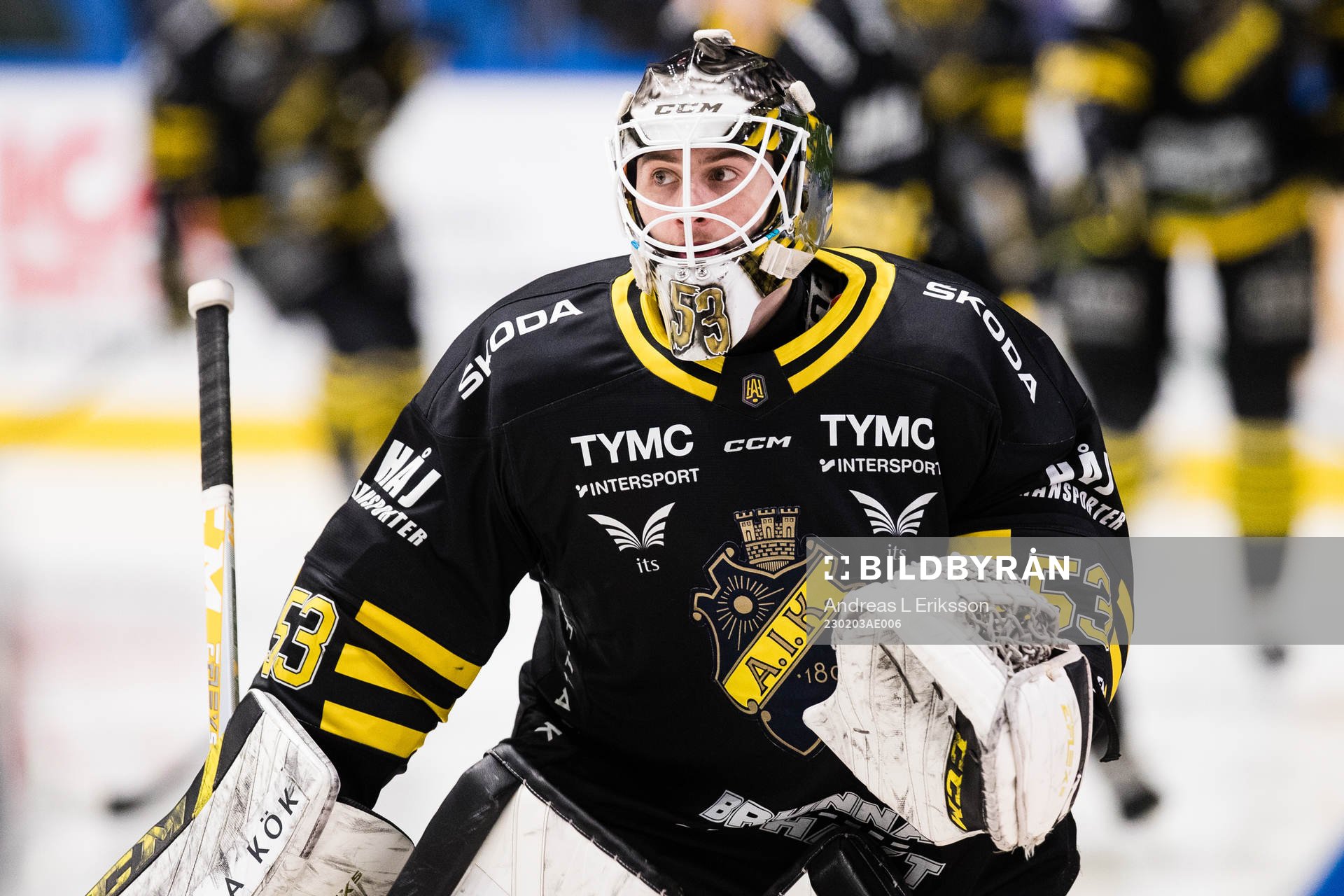 AIKs målvakt Claes Endre