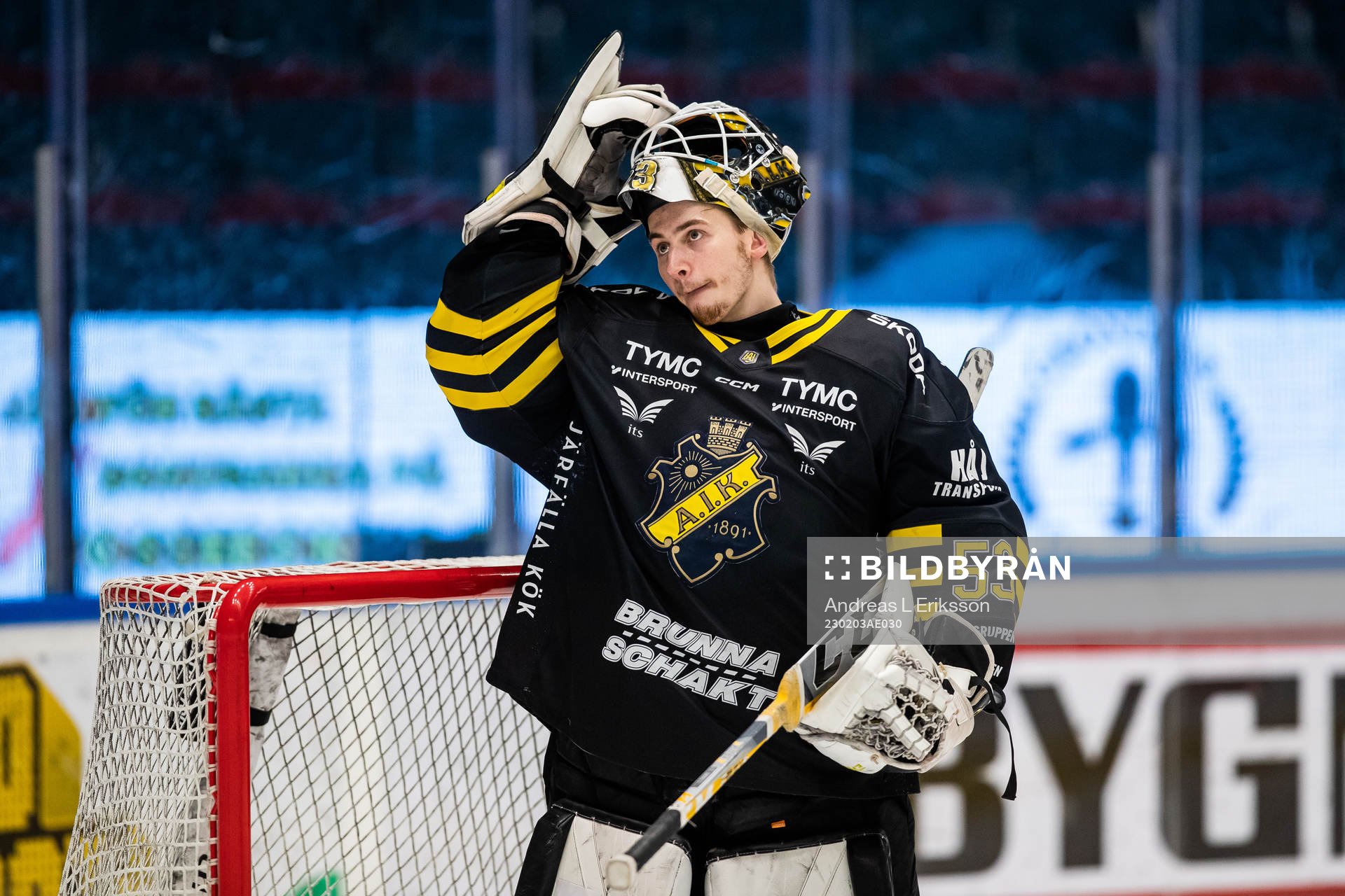 AIKs målvakt Claes Endre