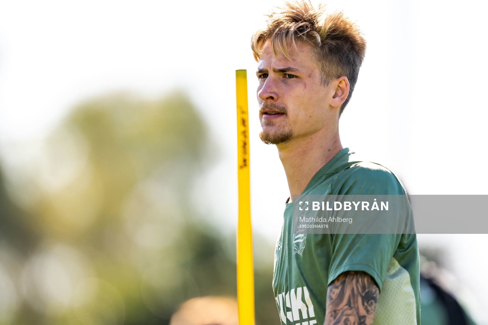Fredrik Hammar