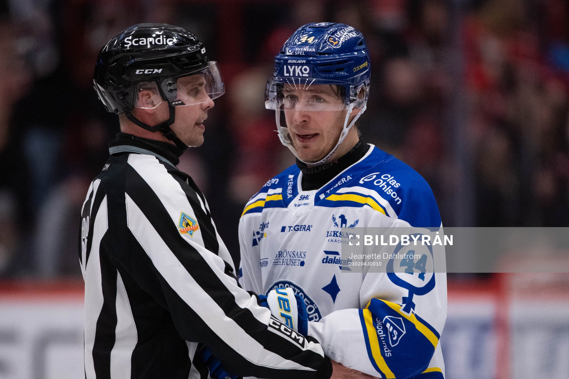 Domare Rasmus Strömberg och Leksands Carter Ashton