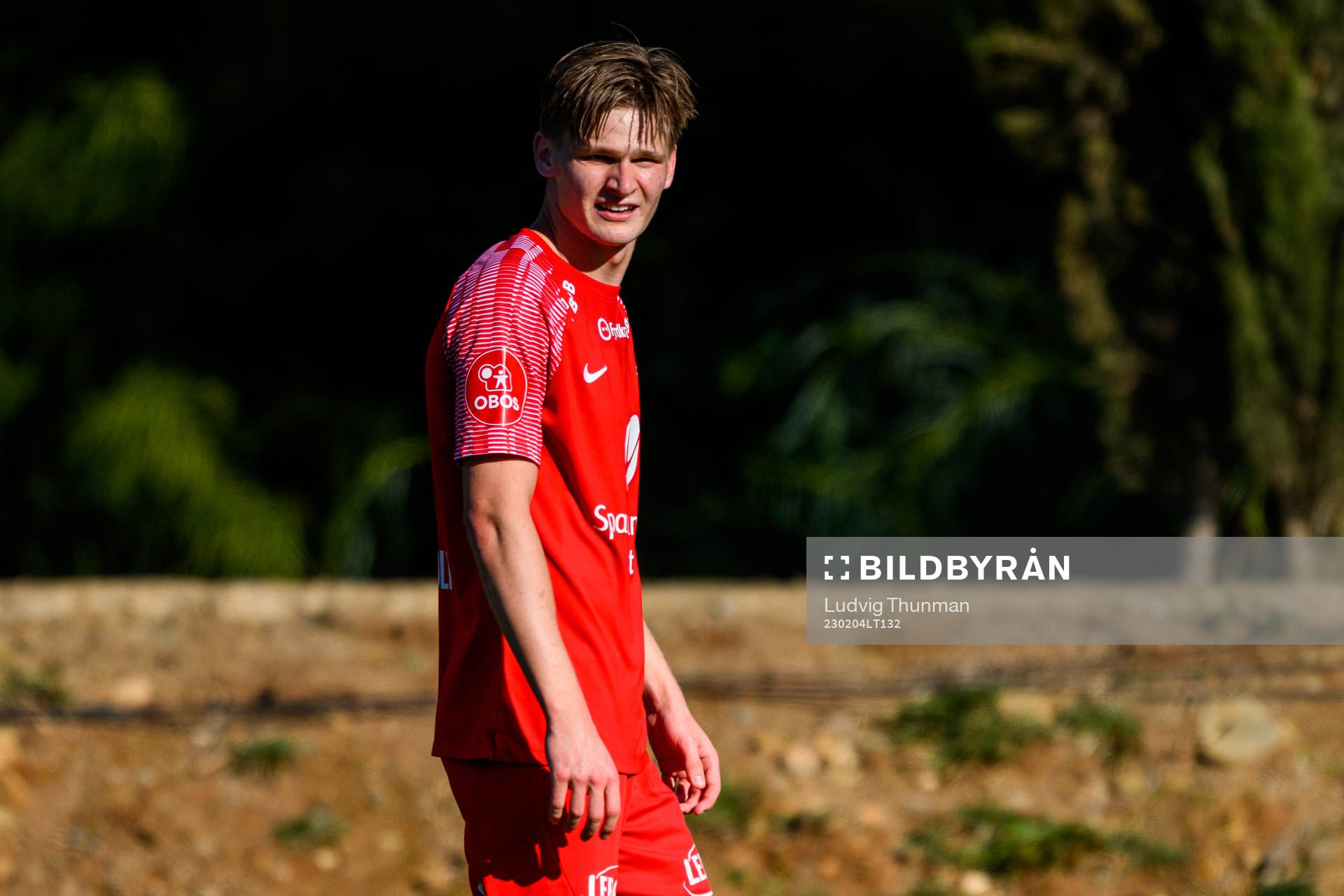 David Møller Wolfe of Brann